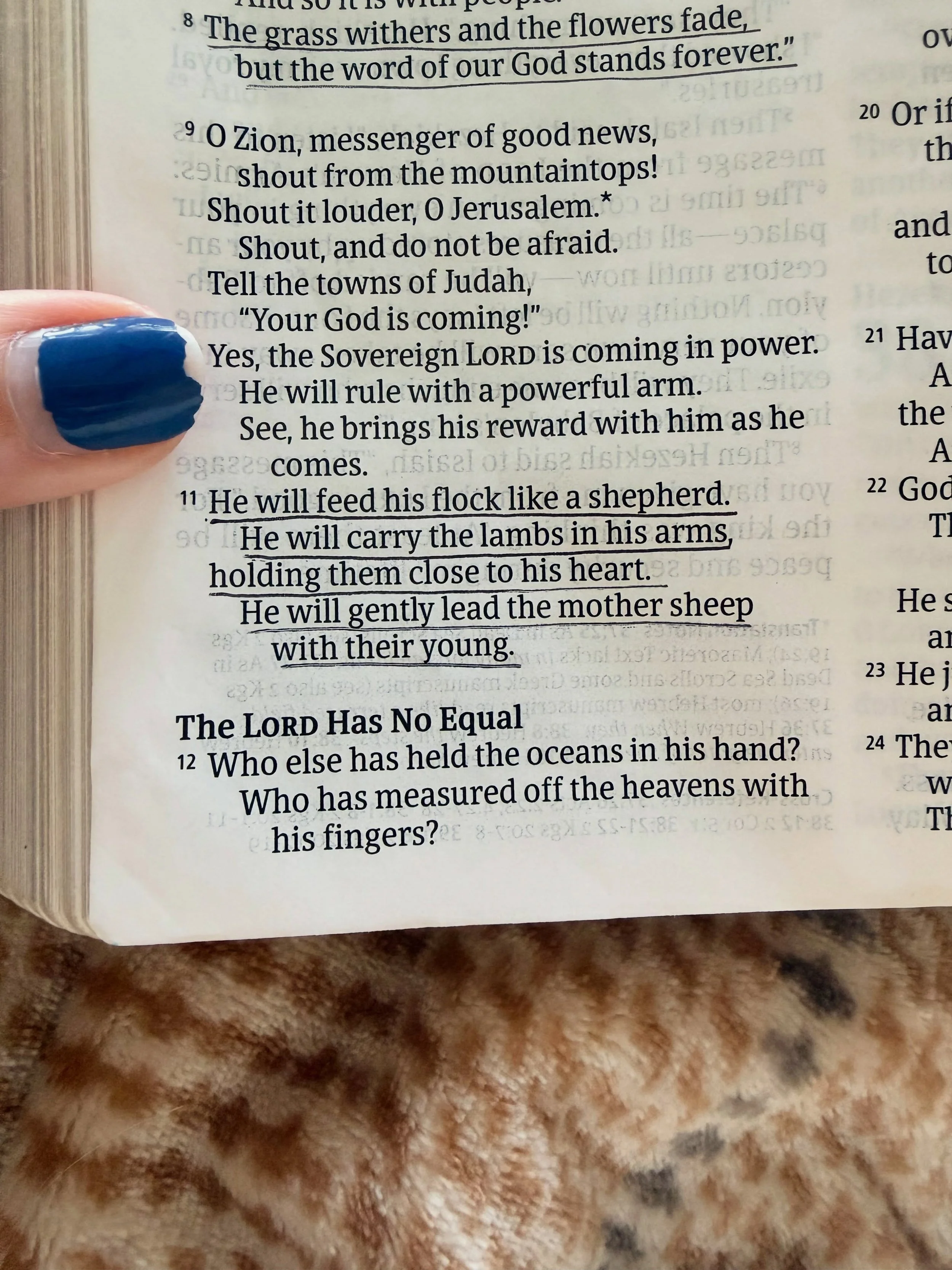 My friend Brooke shared Isaiah 40:11 during our prayer time yesterday, and as I awoke this morning, it was still dancing through  my mind. 

So I opened my Bible and simply sat with these words allowing the truth of Scripture to cover my heart and mi