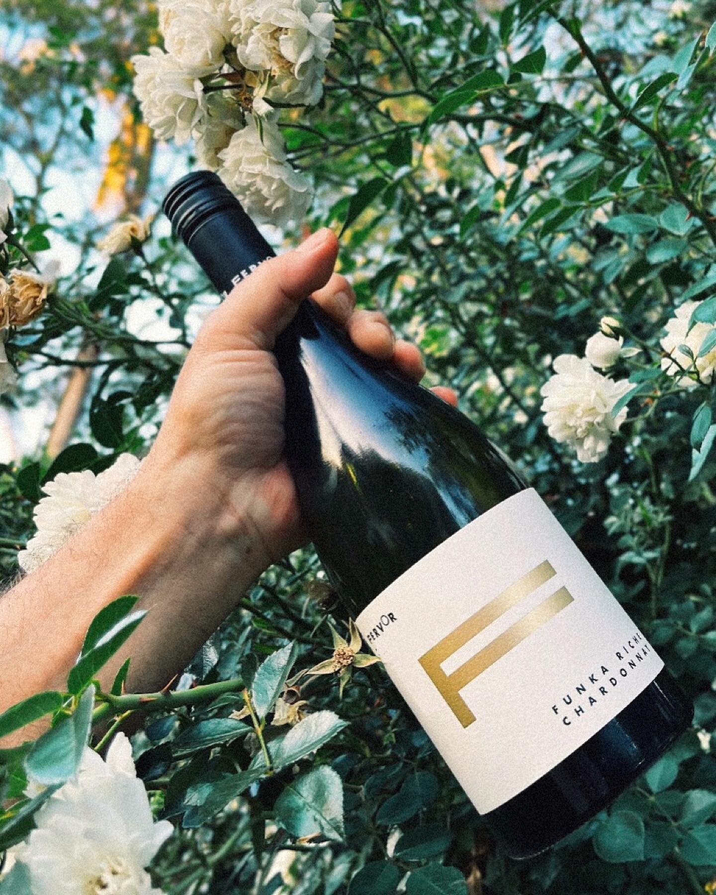 Our latest release, 2023 Funka Riche - Chardonnay

So, what do you need to know?
Wild, funky notes surround a core of ripe stonefruit and touches of cashew and gunflint.

Balanced, Textural, Complex.

Drink now, or cellar it for 10+ years

Find it on