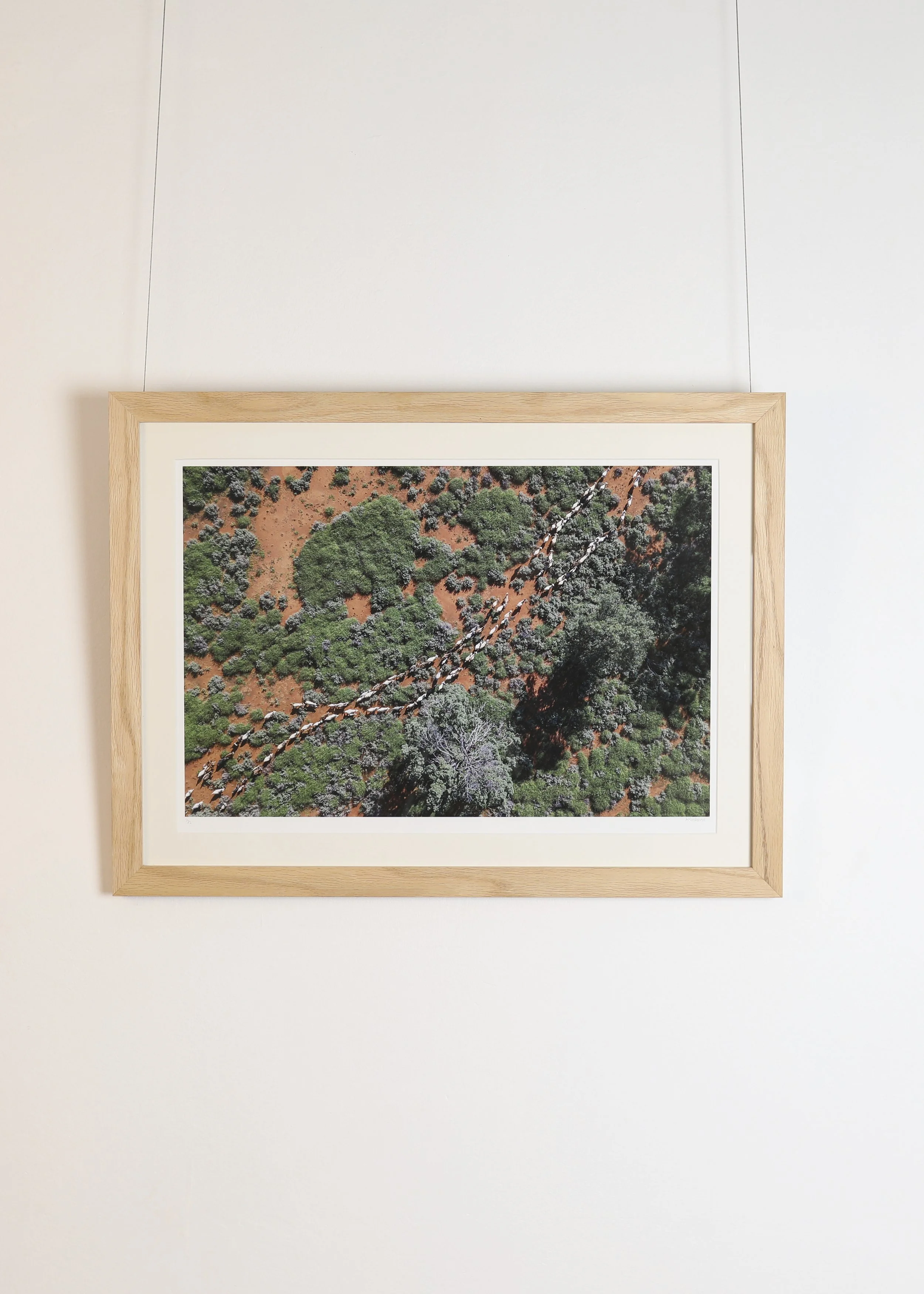 ArtworkImages 246.jpg