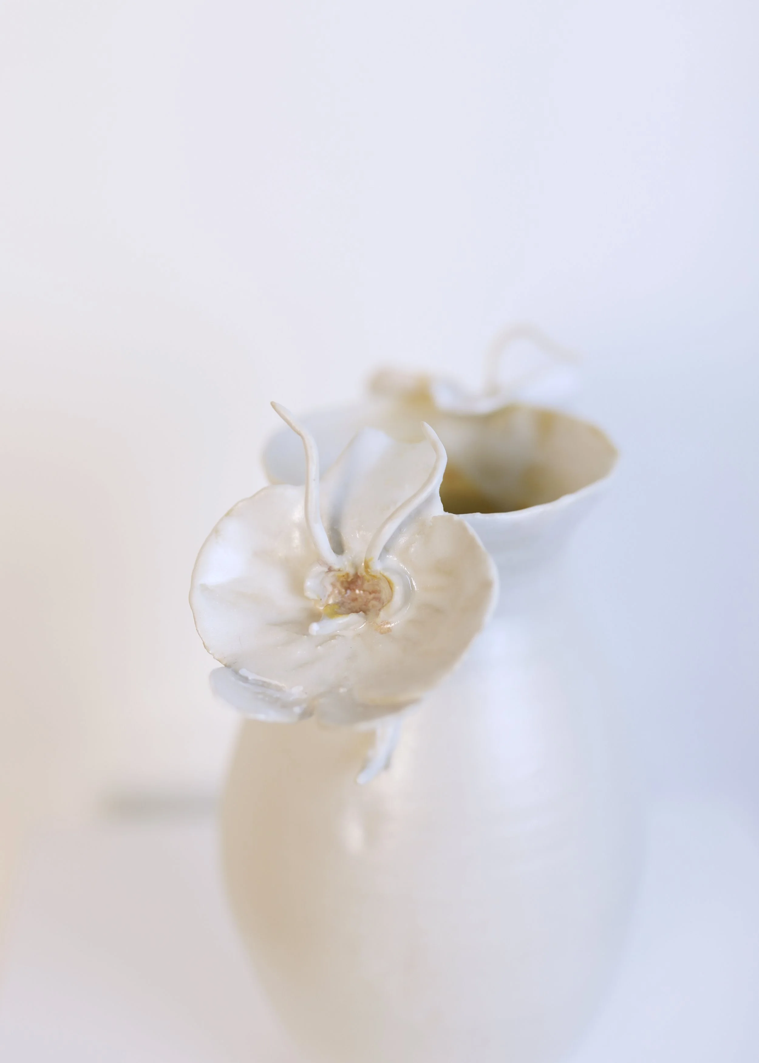 LanguageofFlowers-Artworks 210.jpg
