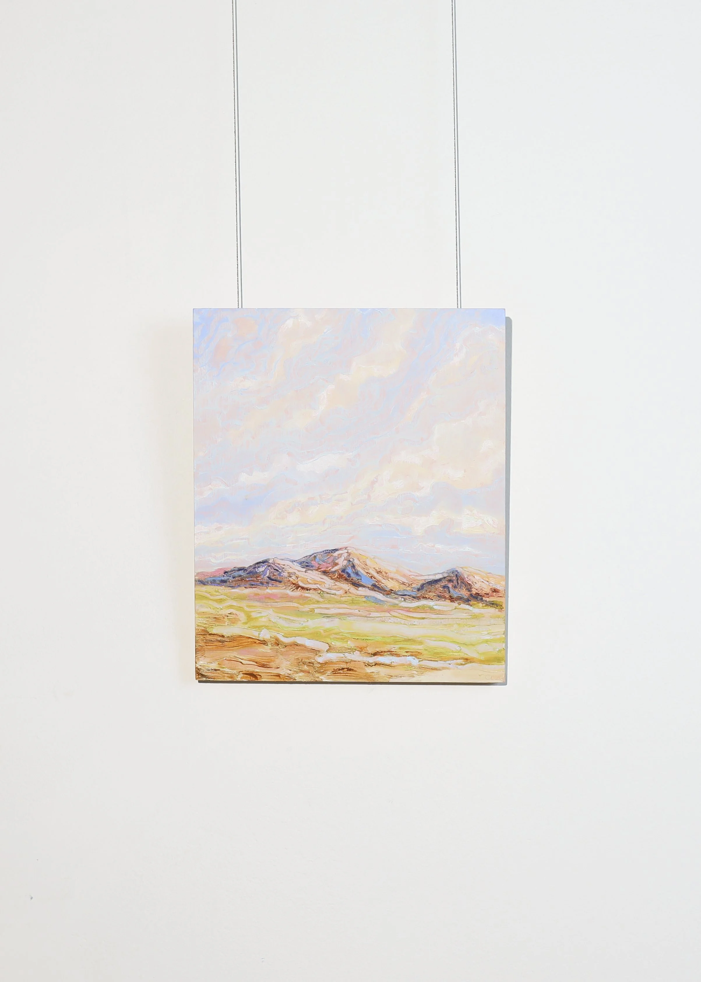 TheWinterEdit-Hanging 131.jpg