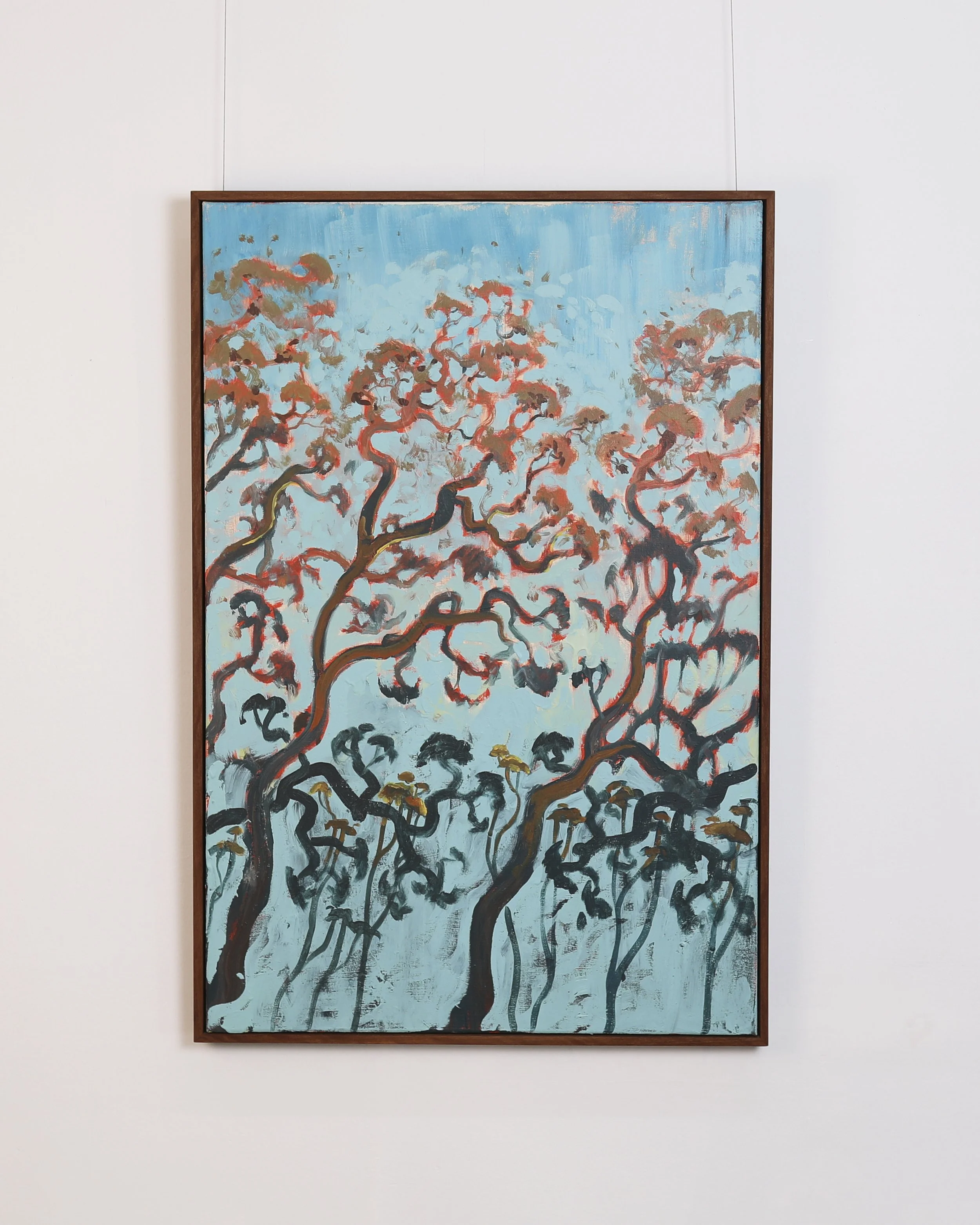 Victor Shergill - Angophora Sunrise