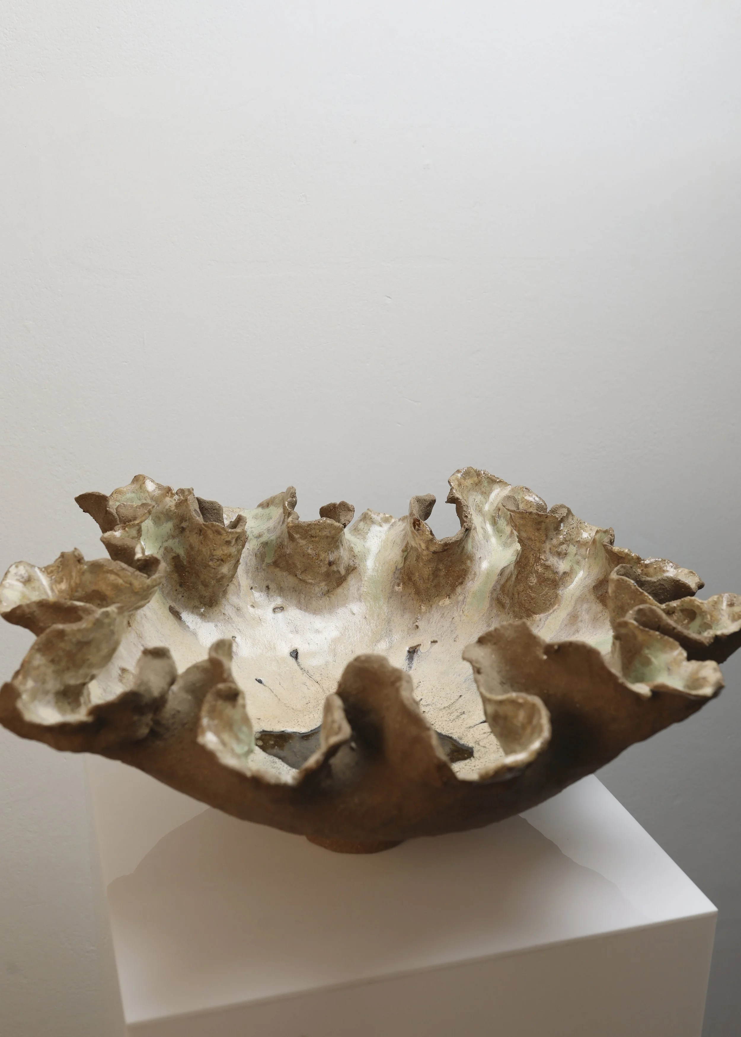Kuan Chen - Gaia Bowl