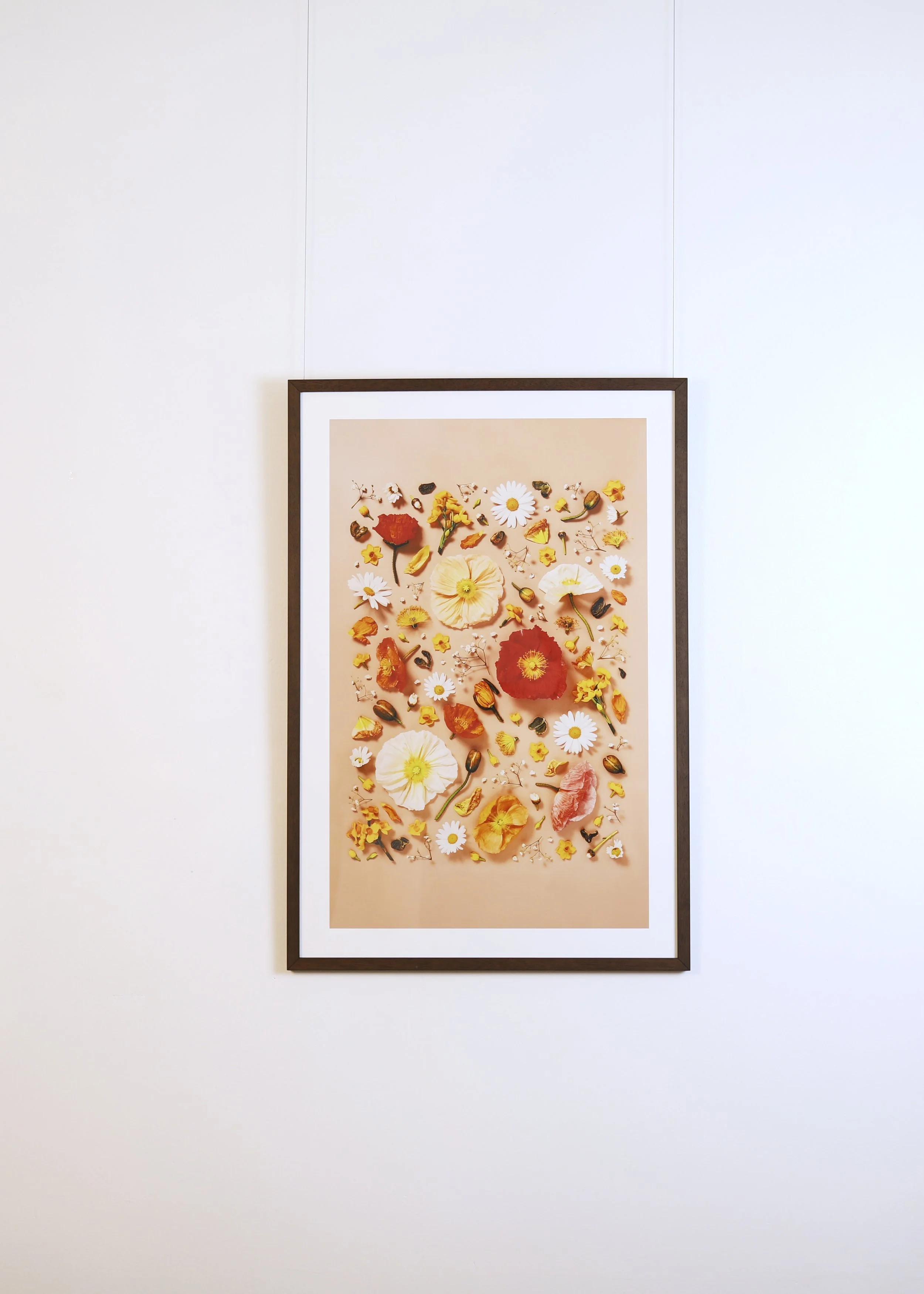 LanguageofFlowers-Artworks 39.jpg