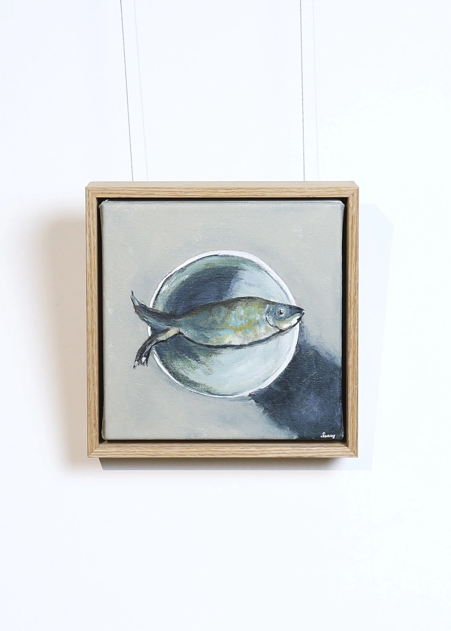 Sunny South - Sardine in the bowl