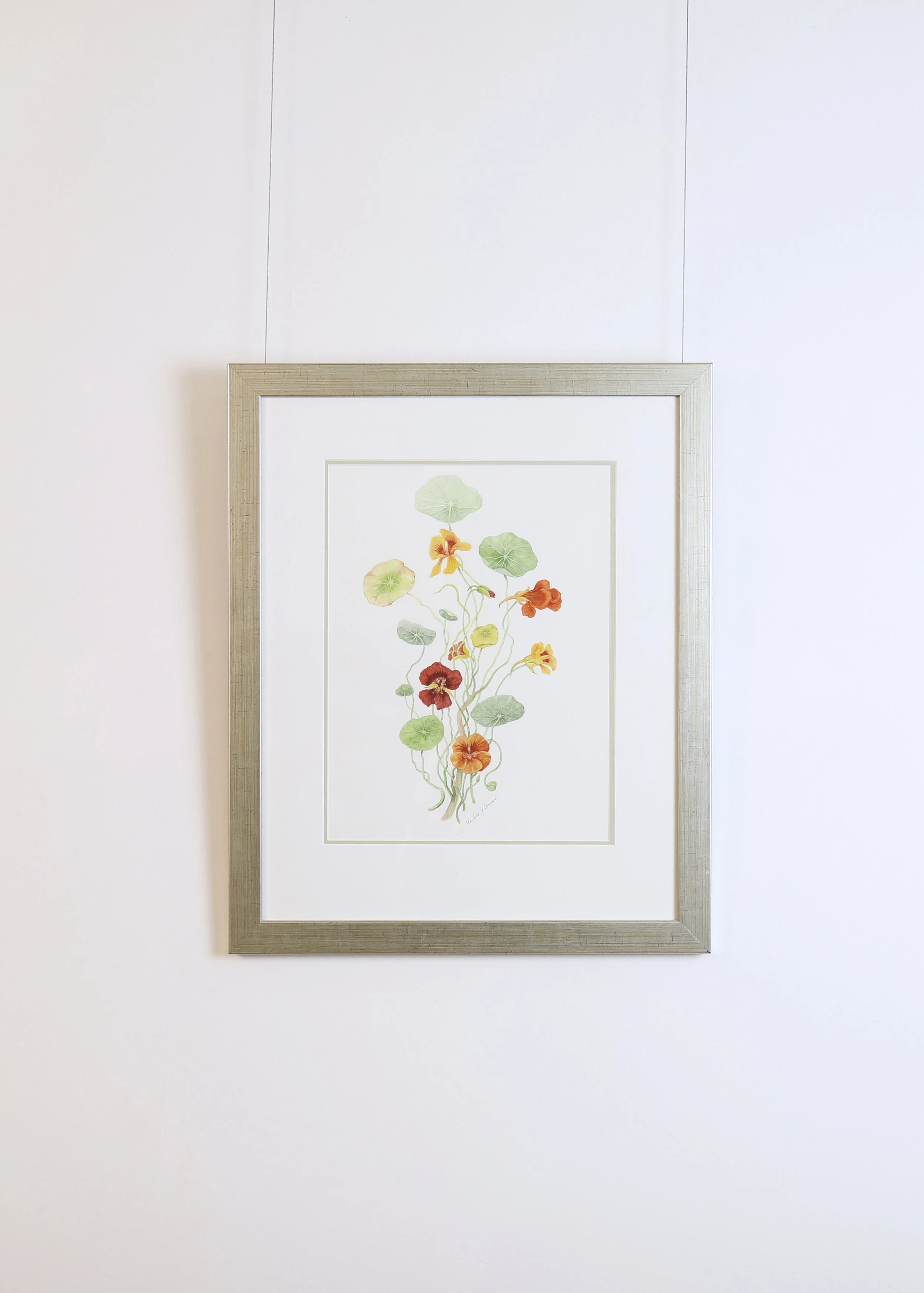LanguageofFlowers-Artworks 136.jpg