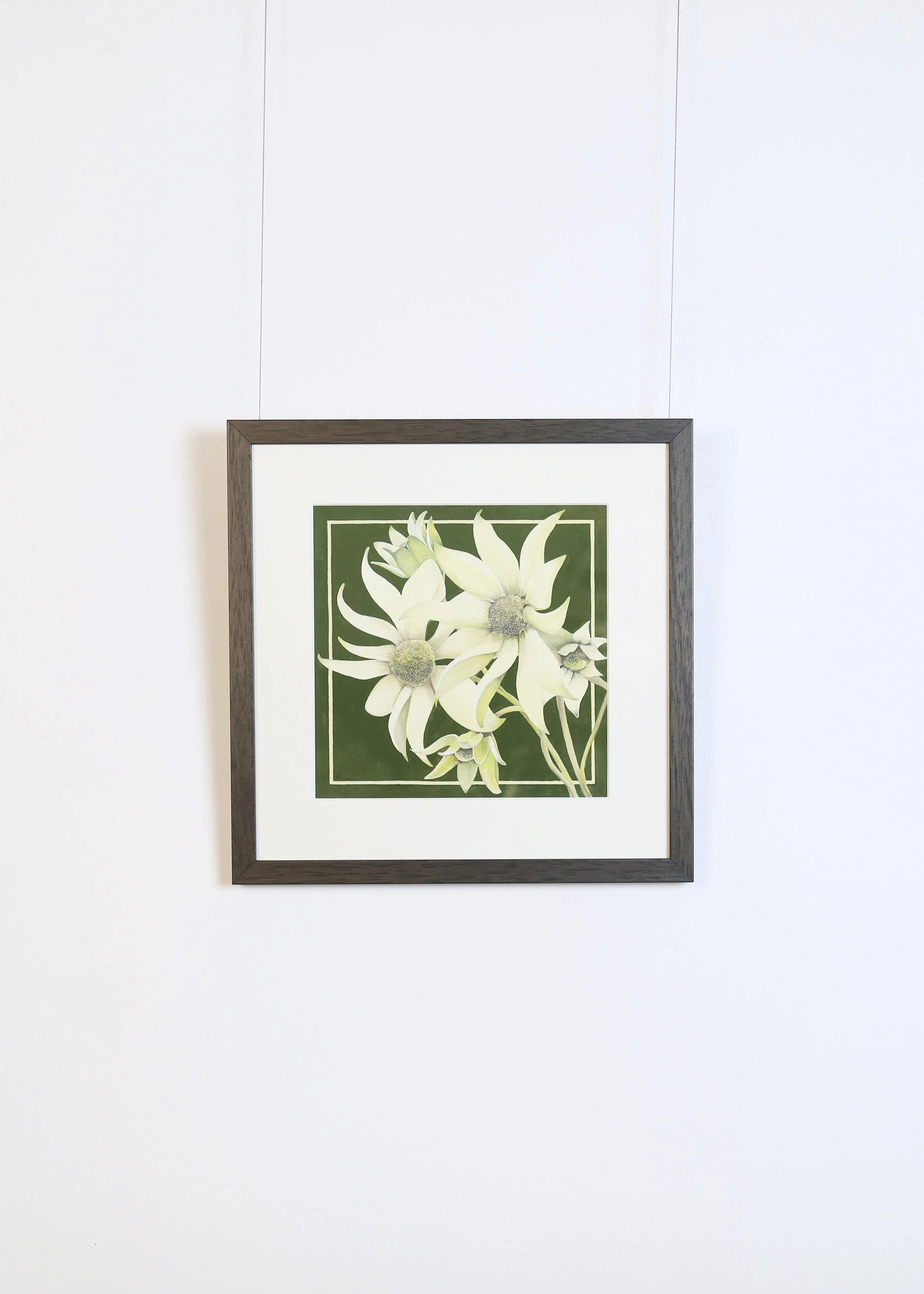 LanguageofFlowers-Artworks 264.jpg