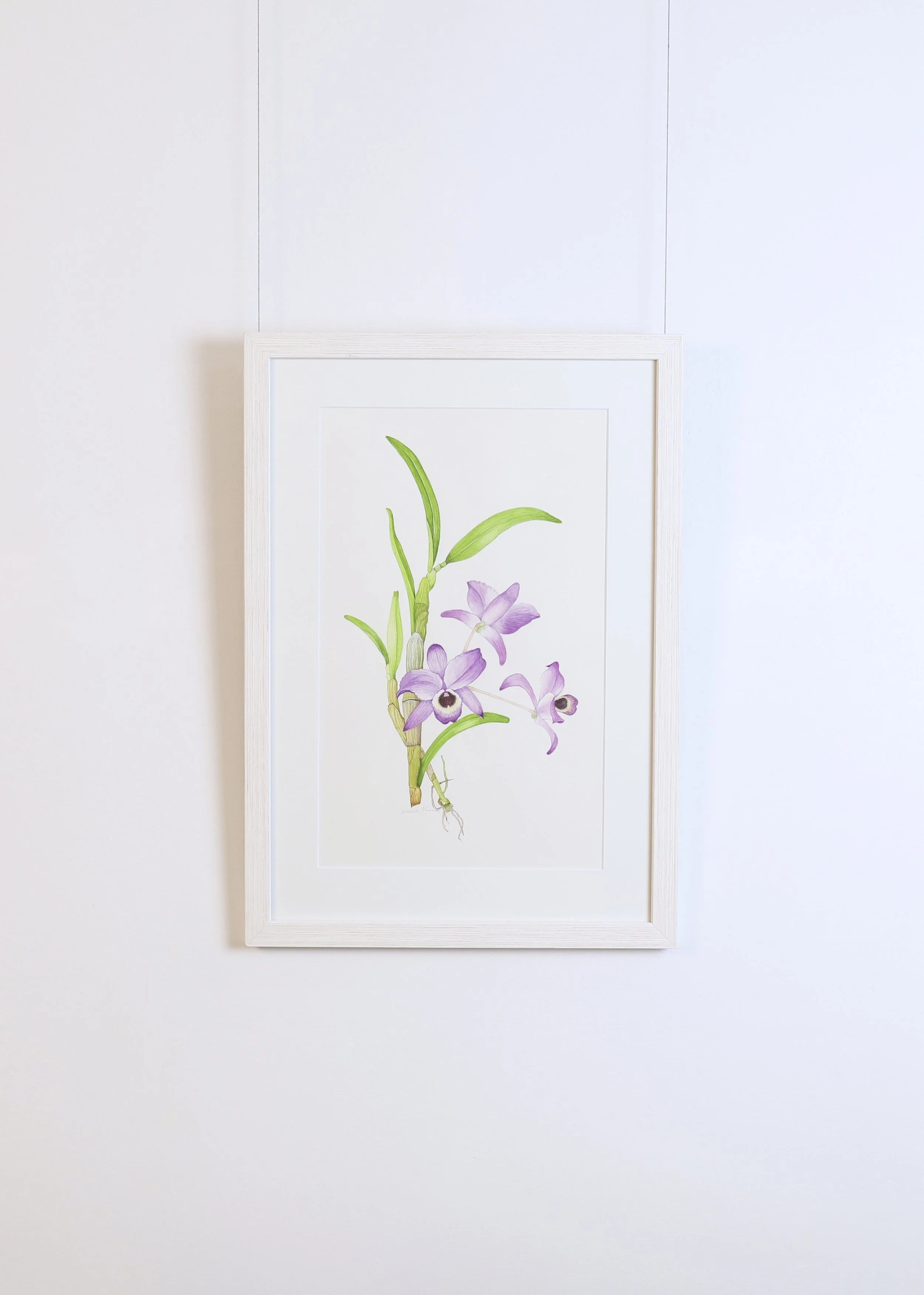 LanguageofFlowers-Artworks 139.jpg