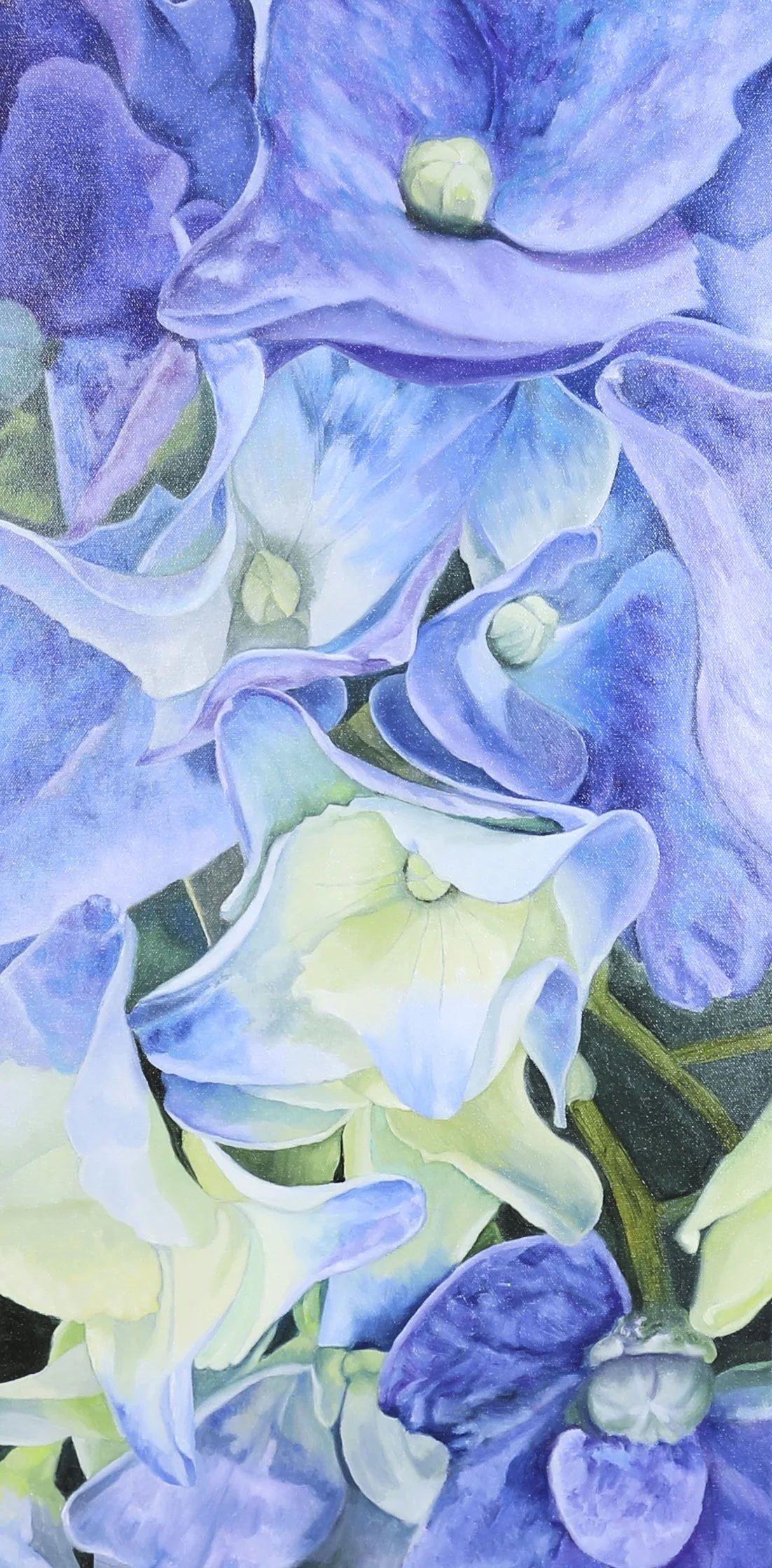 LanguageofFlowers-Artworks 255.jpg
