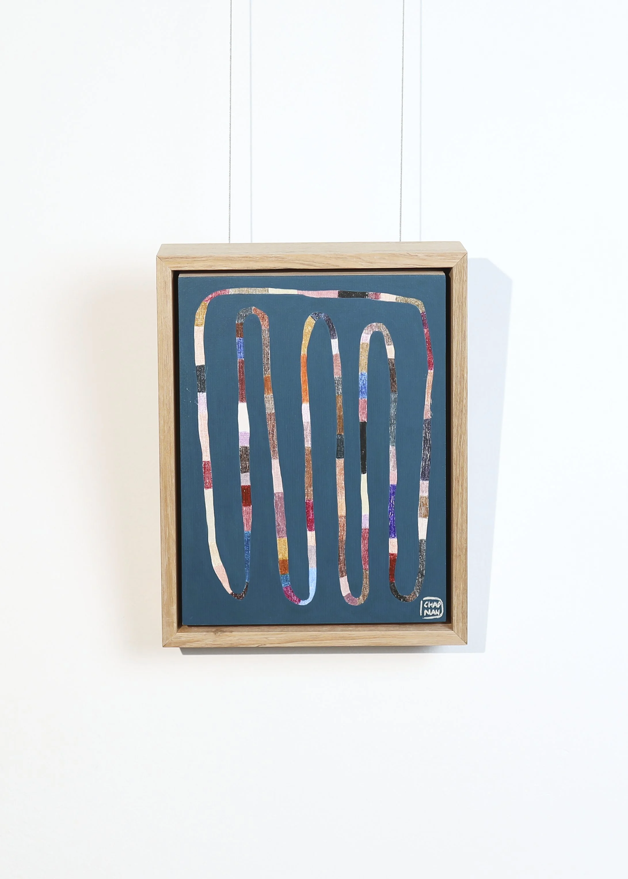 Deb Chapman - Scribbly Gum #1