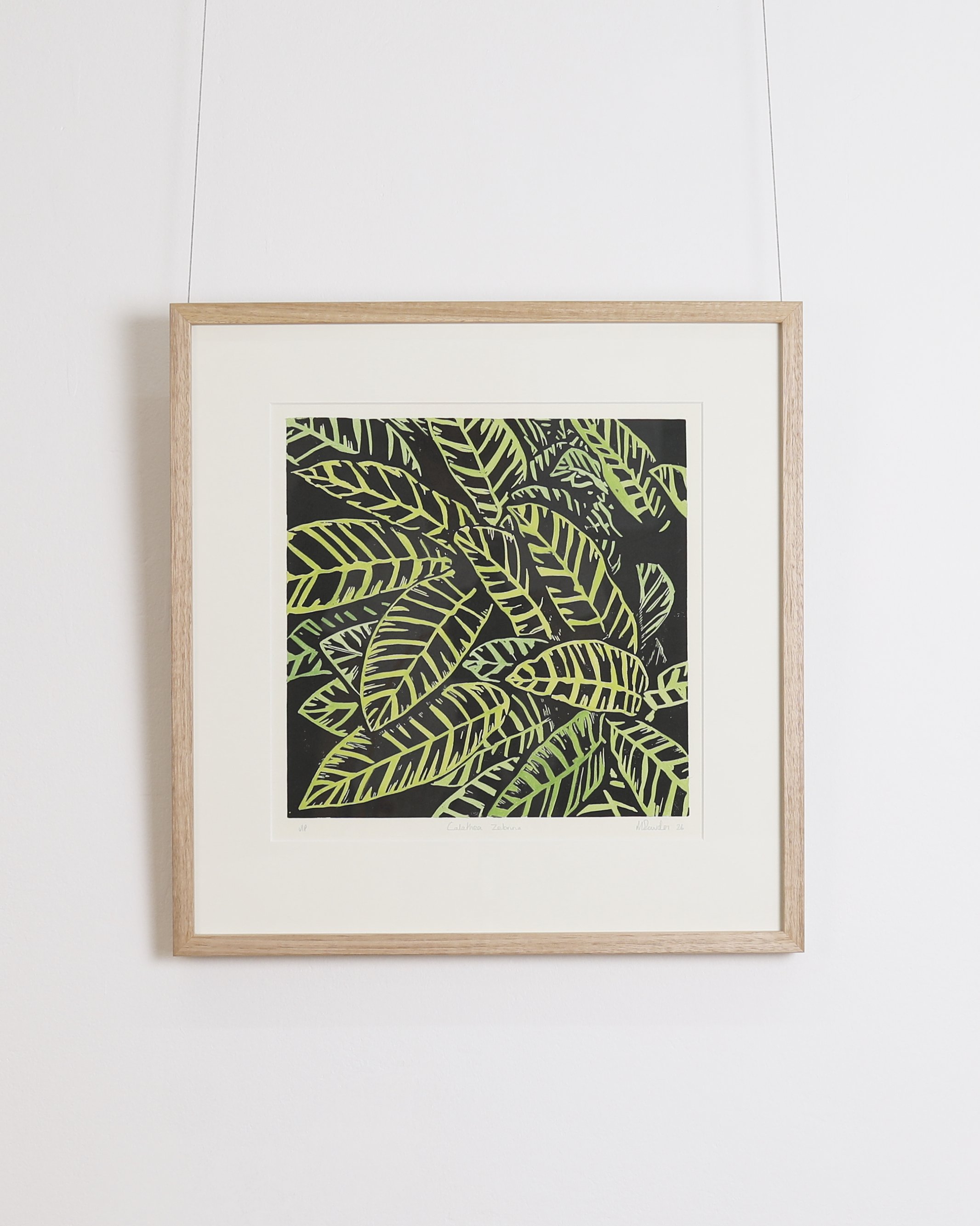 Mark Rowden - Calathea Zebrina