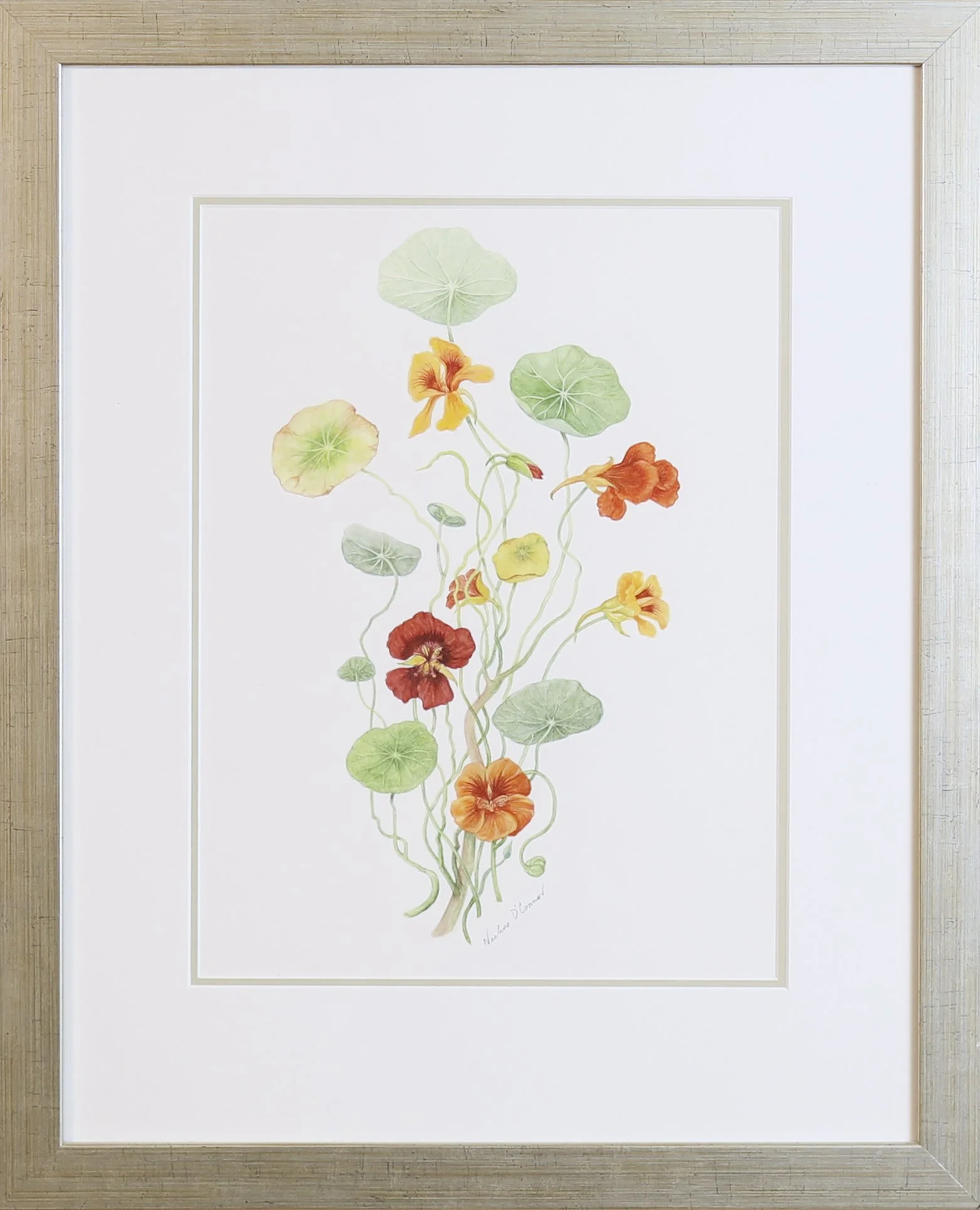 LanguageofFlowers-Artworks 138.jpg