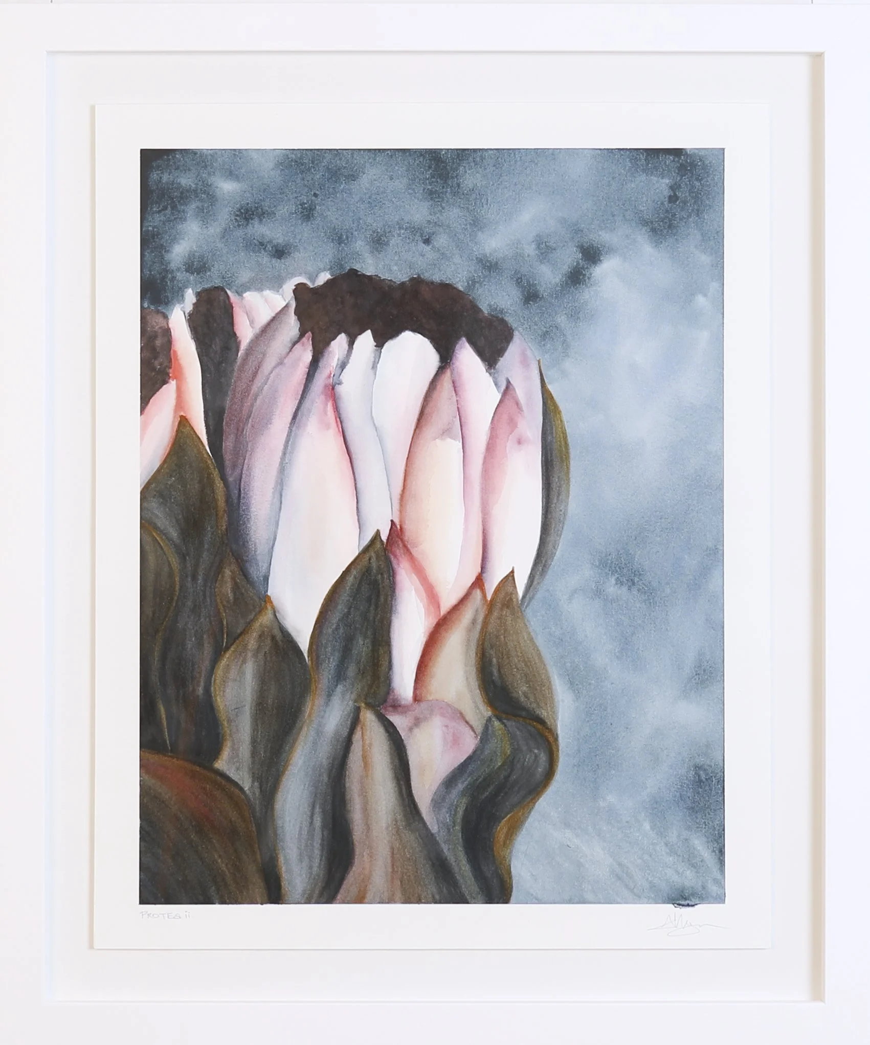 LanguageofFlowers-Artworks 250.jpg