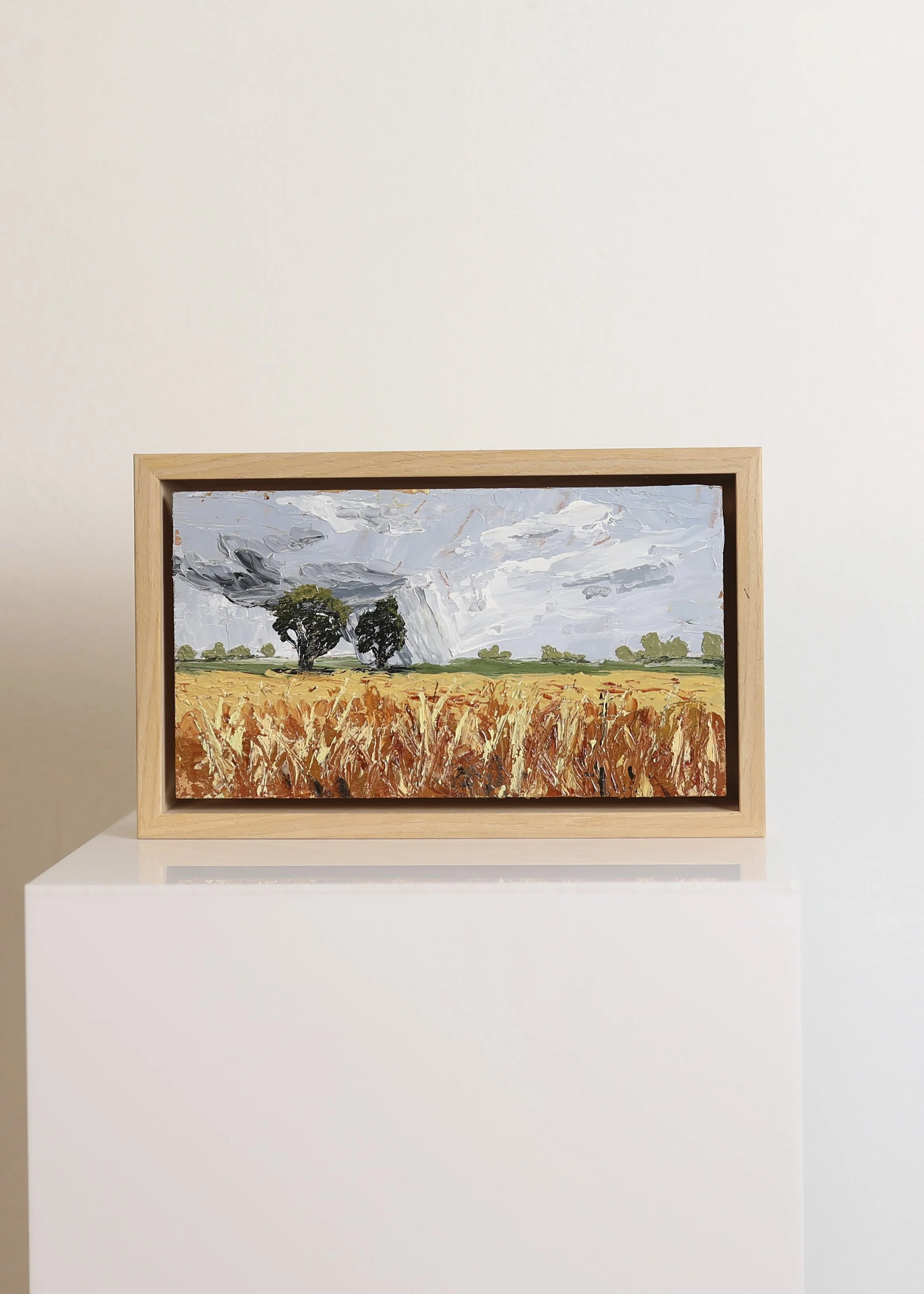 Michelle Stone - The approaching storm
