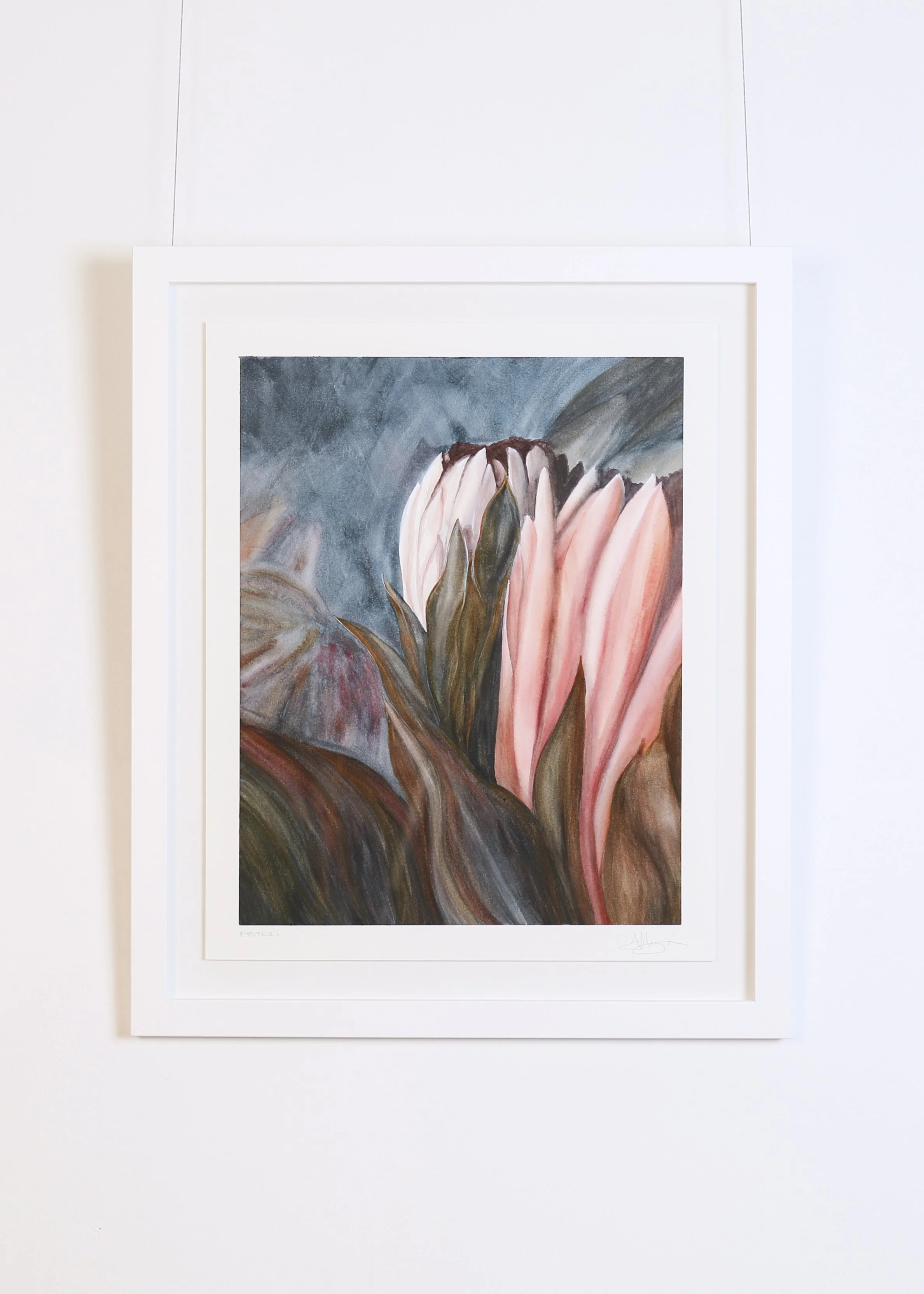 Ann-maree - Protea I