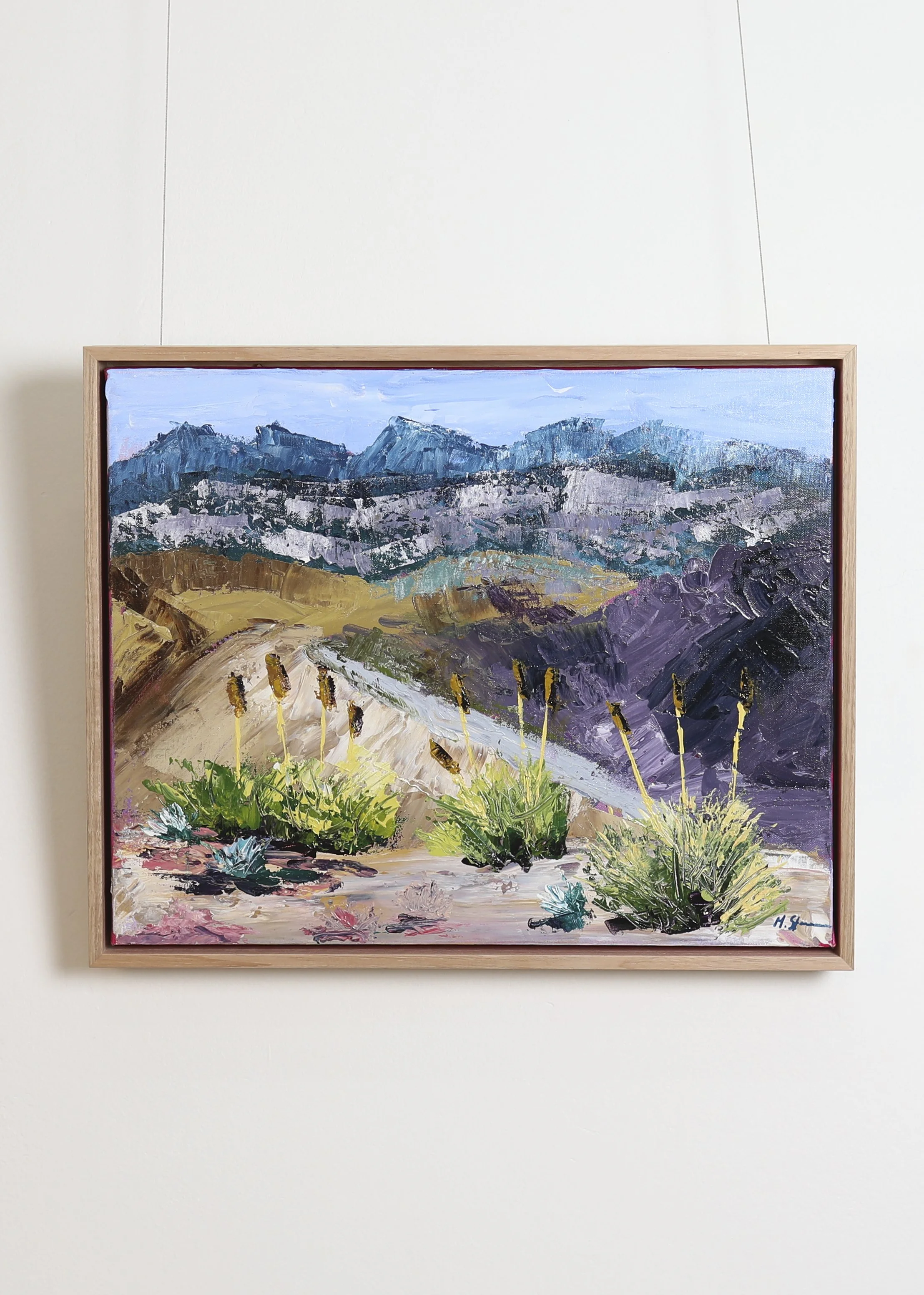 Michelle Stone - Blooms of Flinders