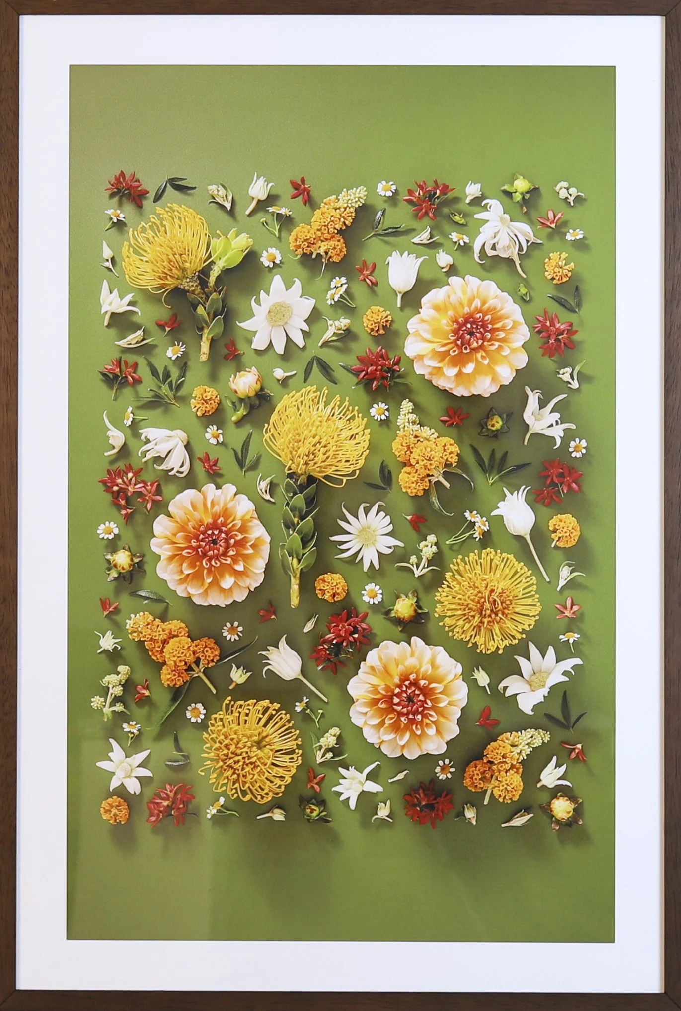 LanguageofFlowers-Artworks 38.jpg