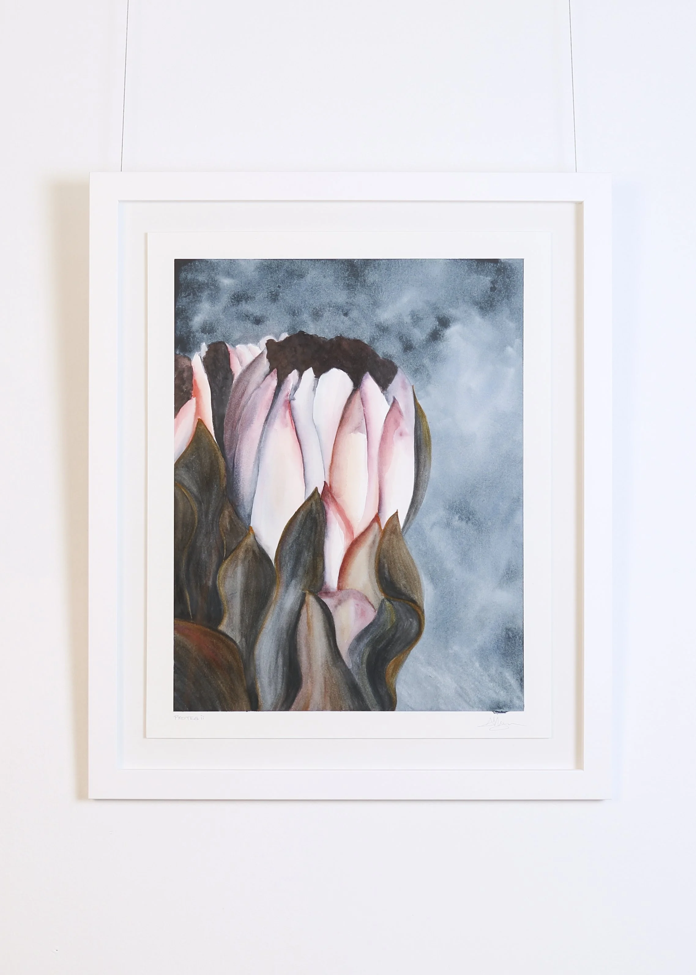 Ann-maree - Protea II