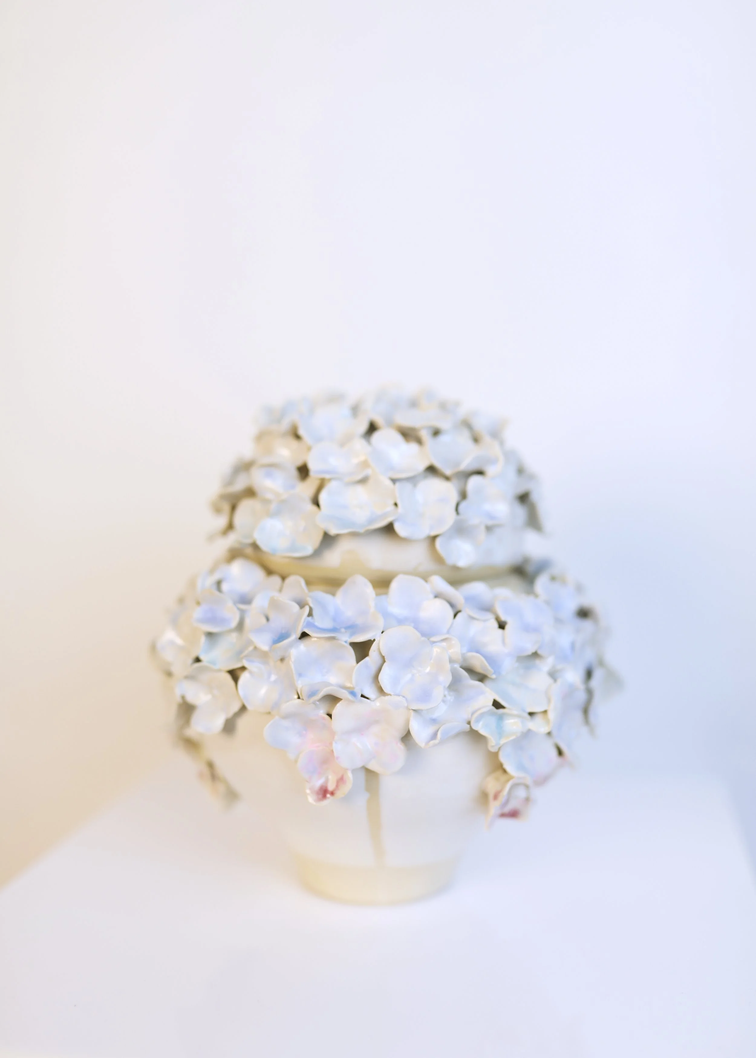 LanguageofFlowers-Artworks 204.jpg