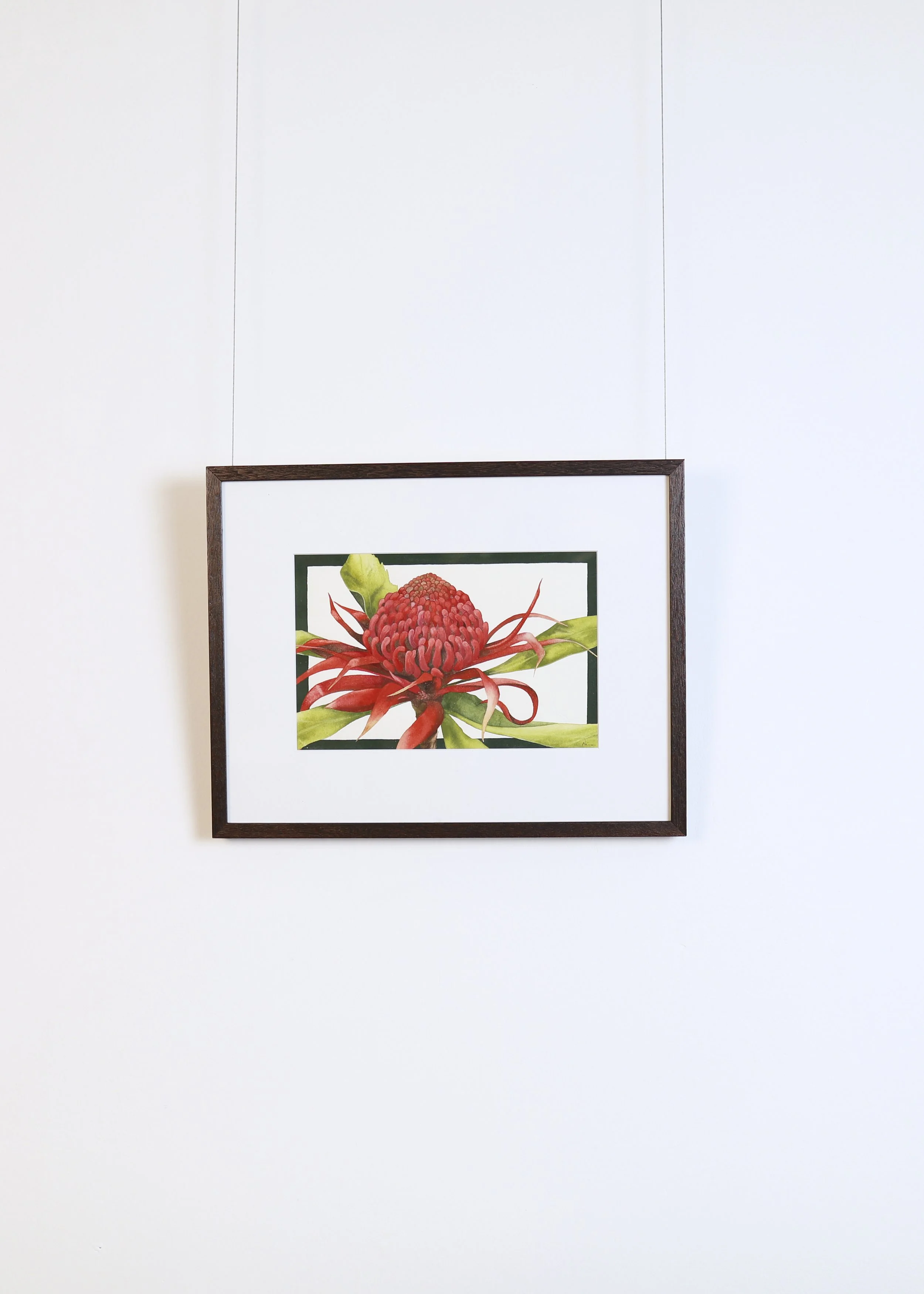 LanguageofFlowers-Artworks 258.jpg