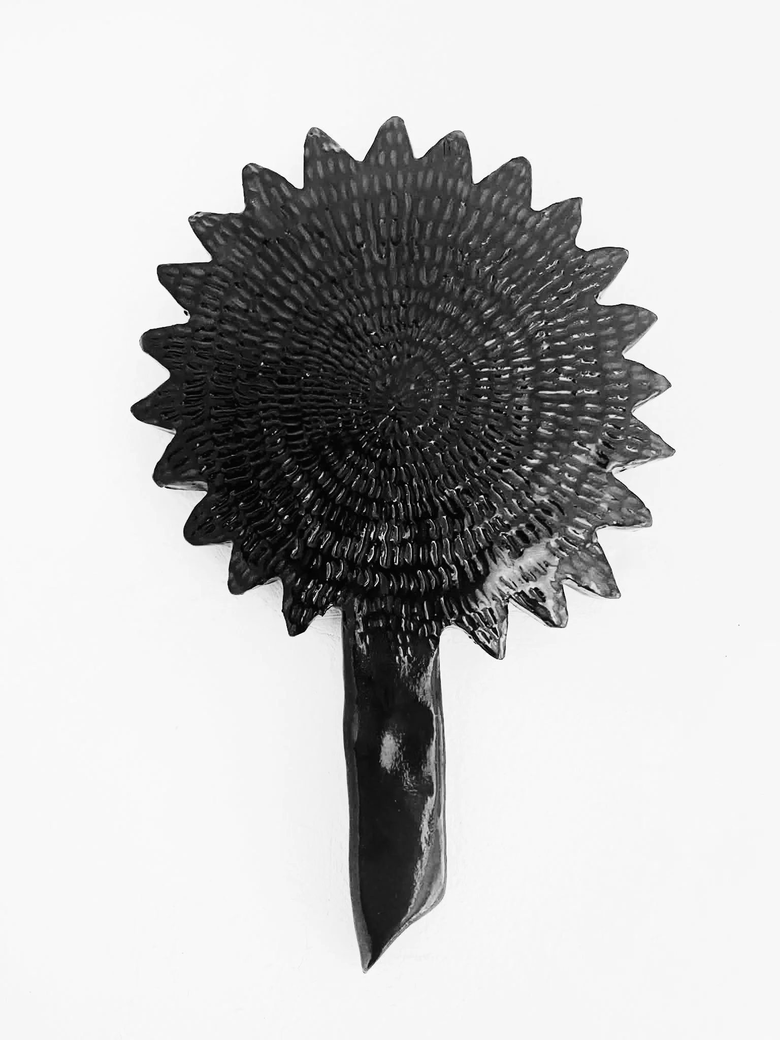 Kelsey Cooke - Dandelion