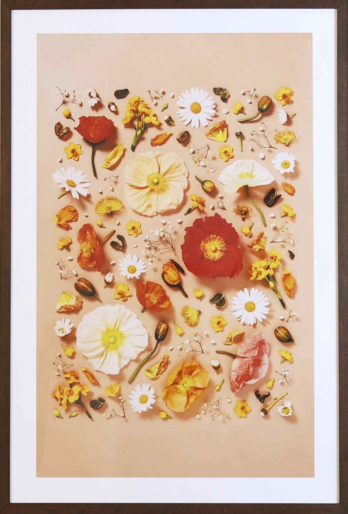 LanguageofFlowers-Artworks 41.jpg