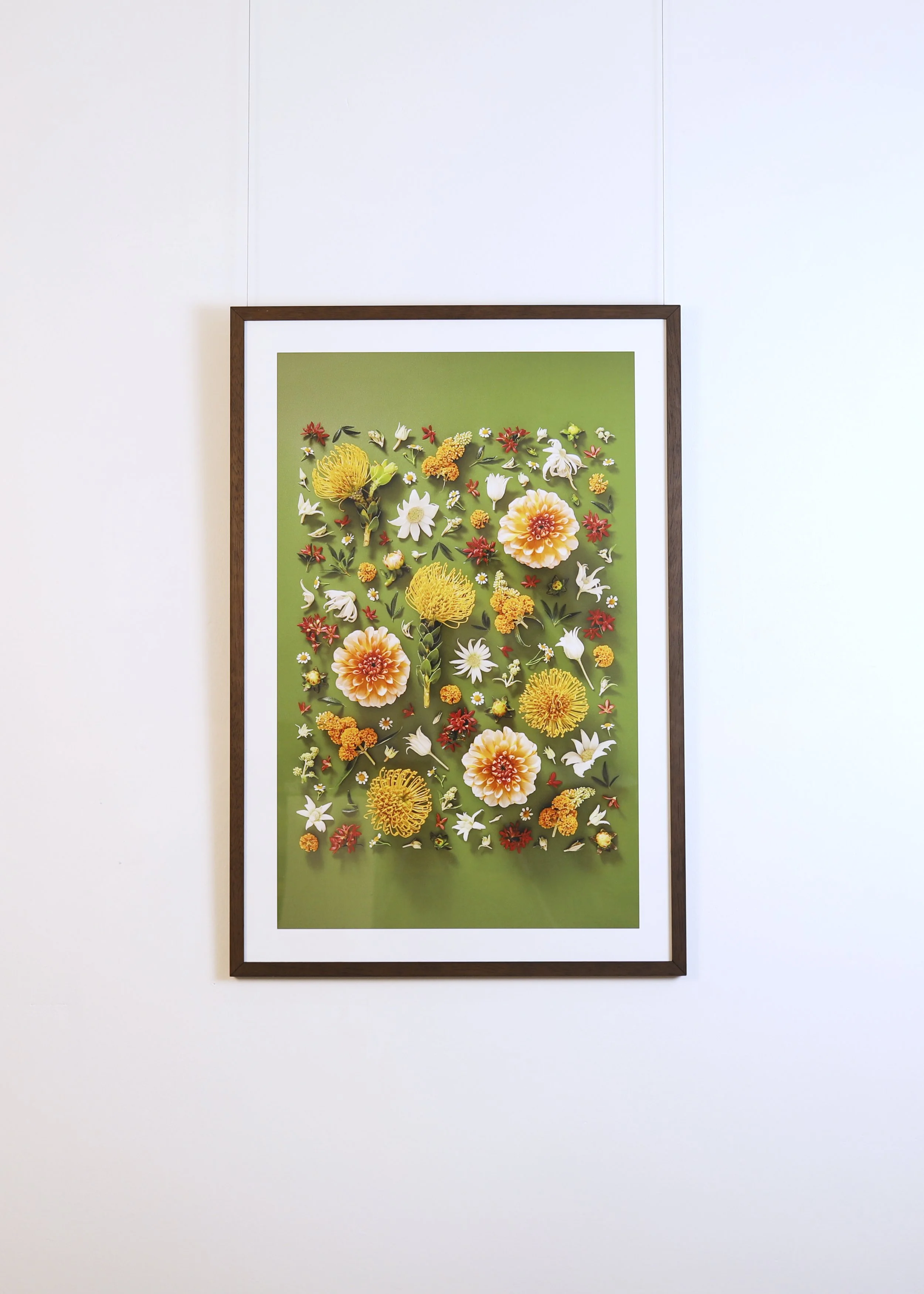 LanguageofFlowers-Artworks 36.jpg
