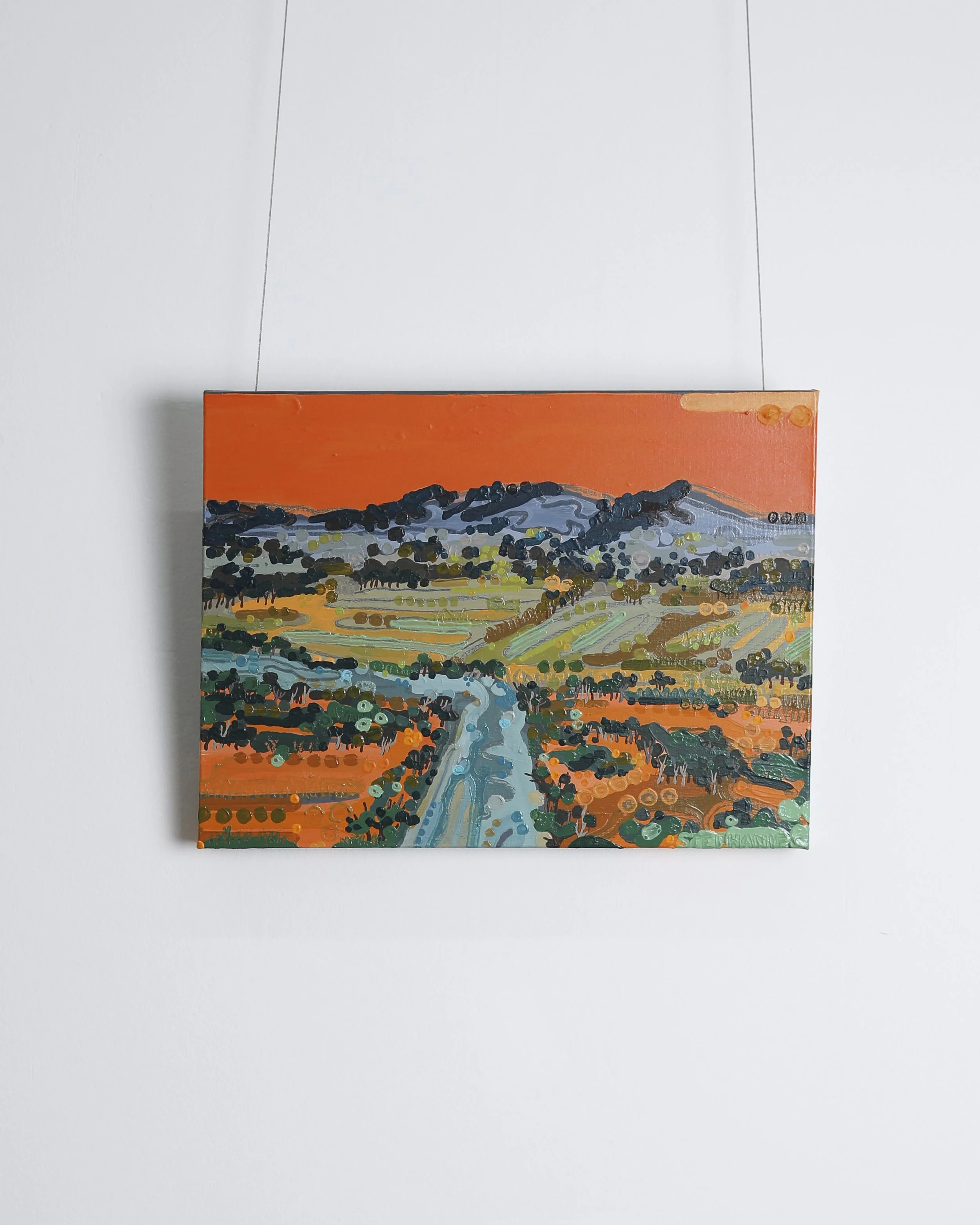 Stephanie Creigh - Tangerine Fields