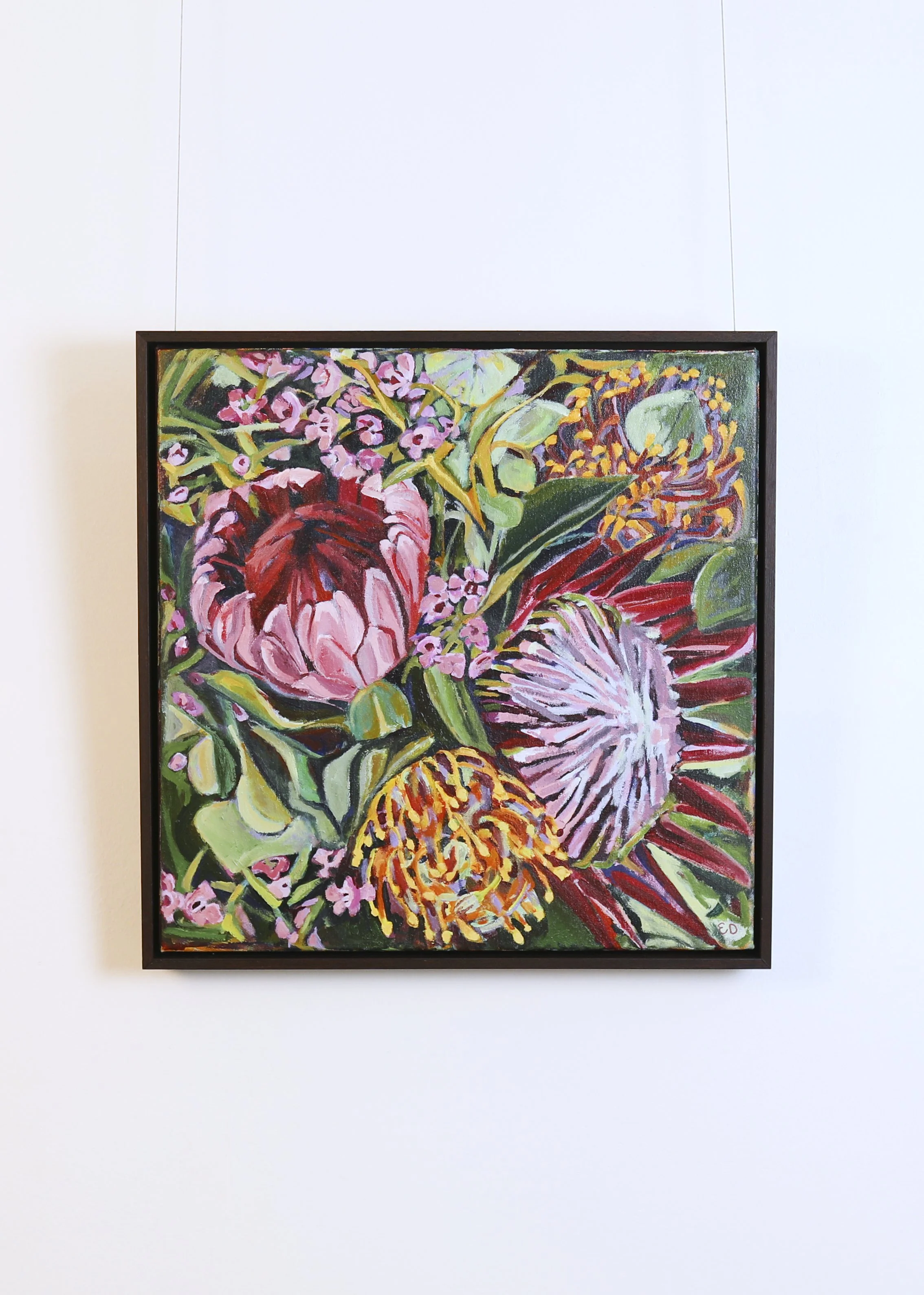 Eleanor Dillon Protea - Transformation (I am ever evolving)