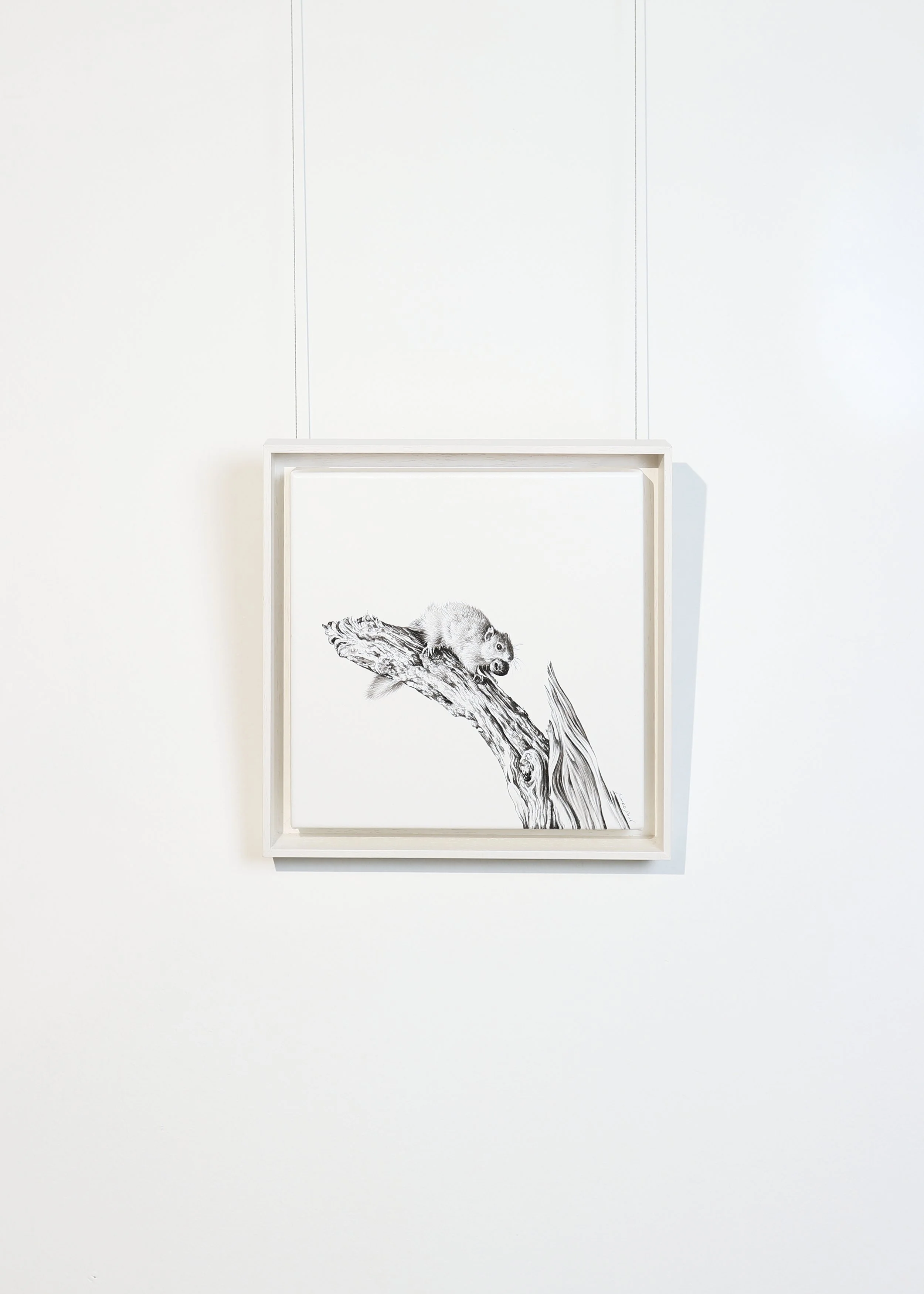 TheWinterEdit-Hanging 81.jpg