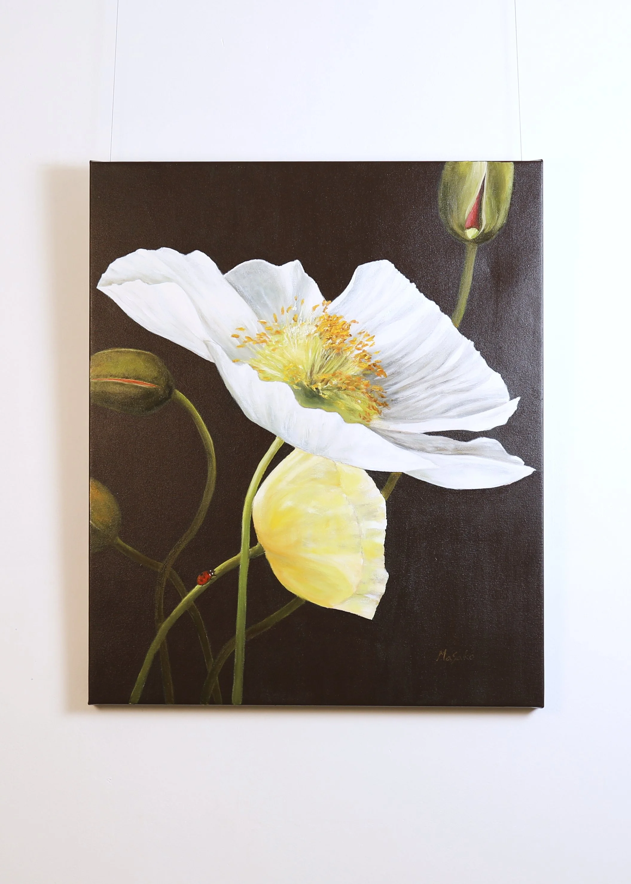 Masako Gordon - White Poppy