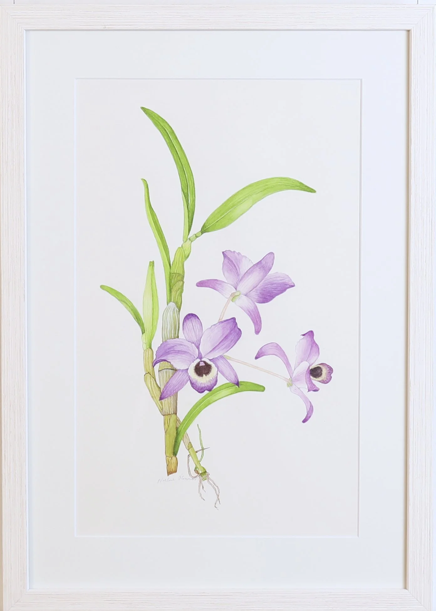 LanguageofFlowers-Artworks 141.jpg
