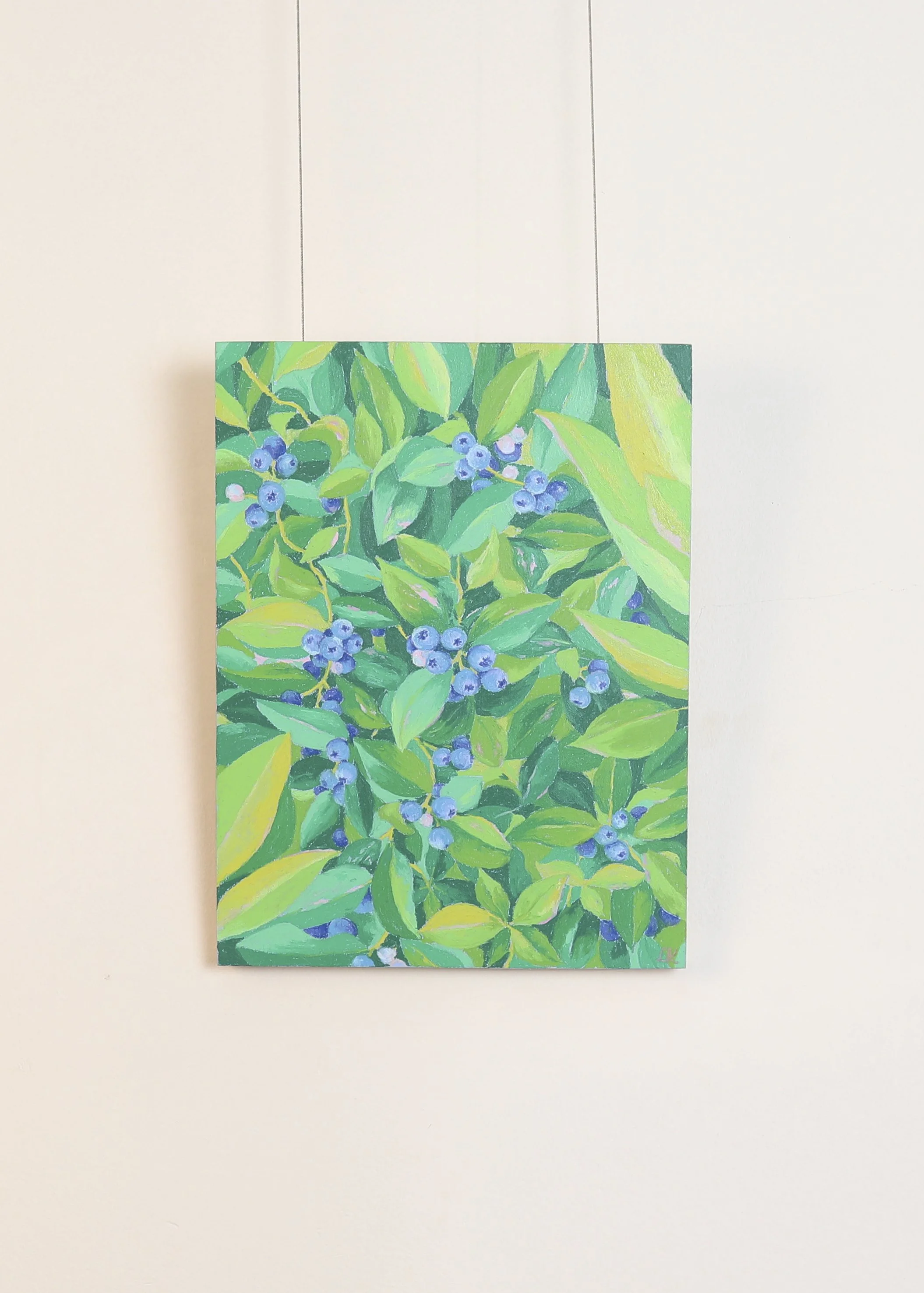 Lauren Kathleen - An abundance of blueberries