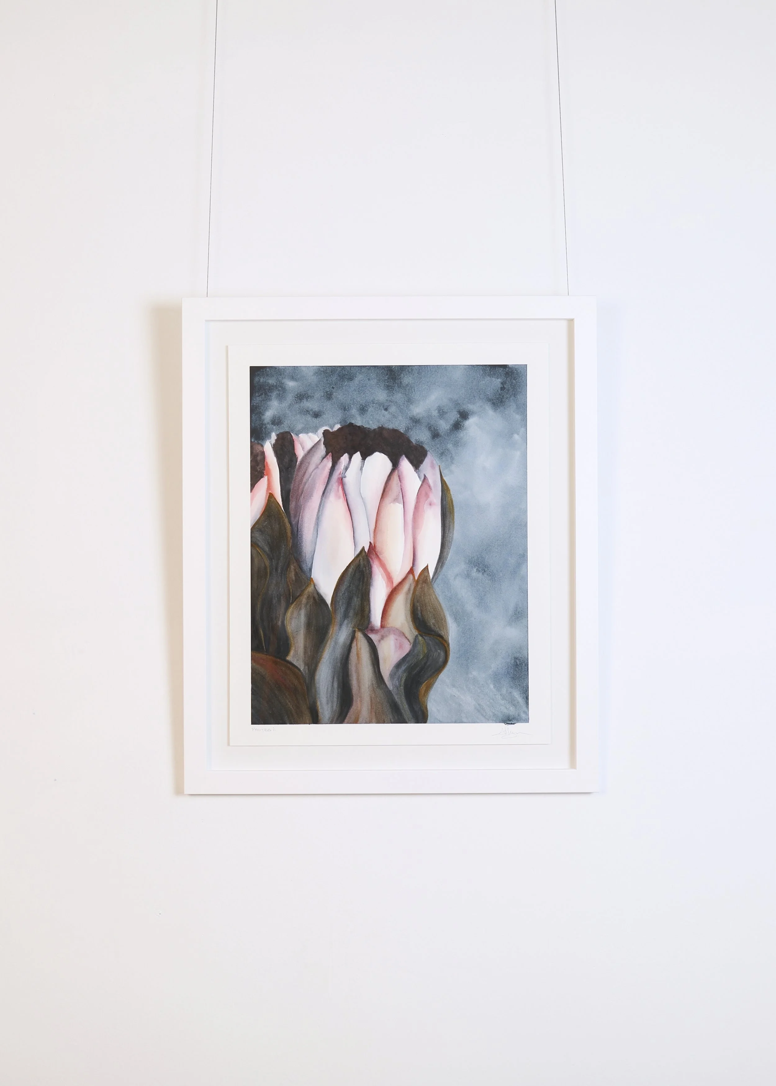 LanguageofFlowers-Artworks 248.jpg