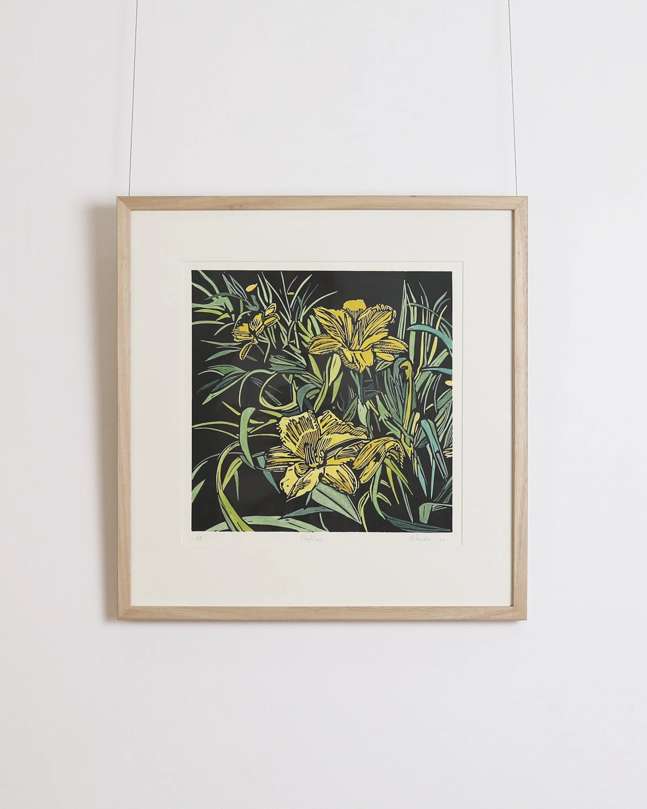 Mark Rowden - Daylilies