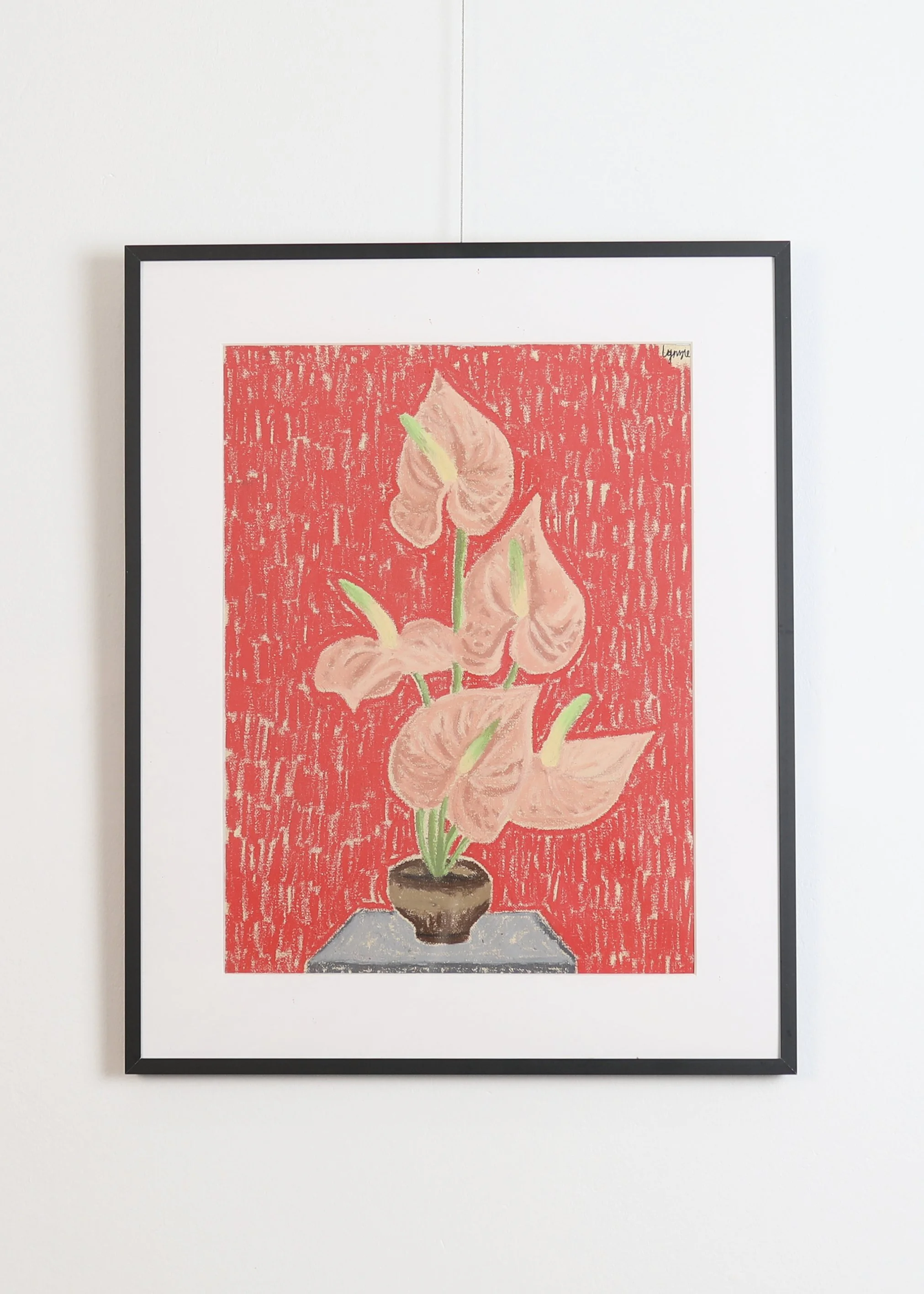 Lynzie Bremner - Anthuirum Study