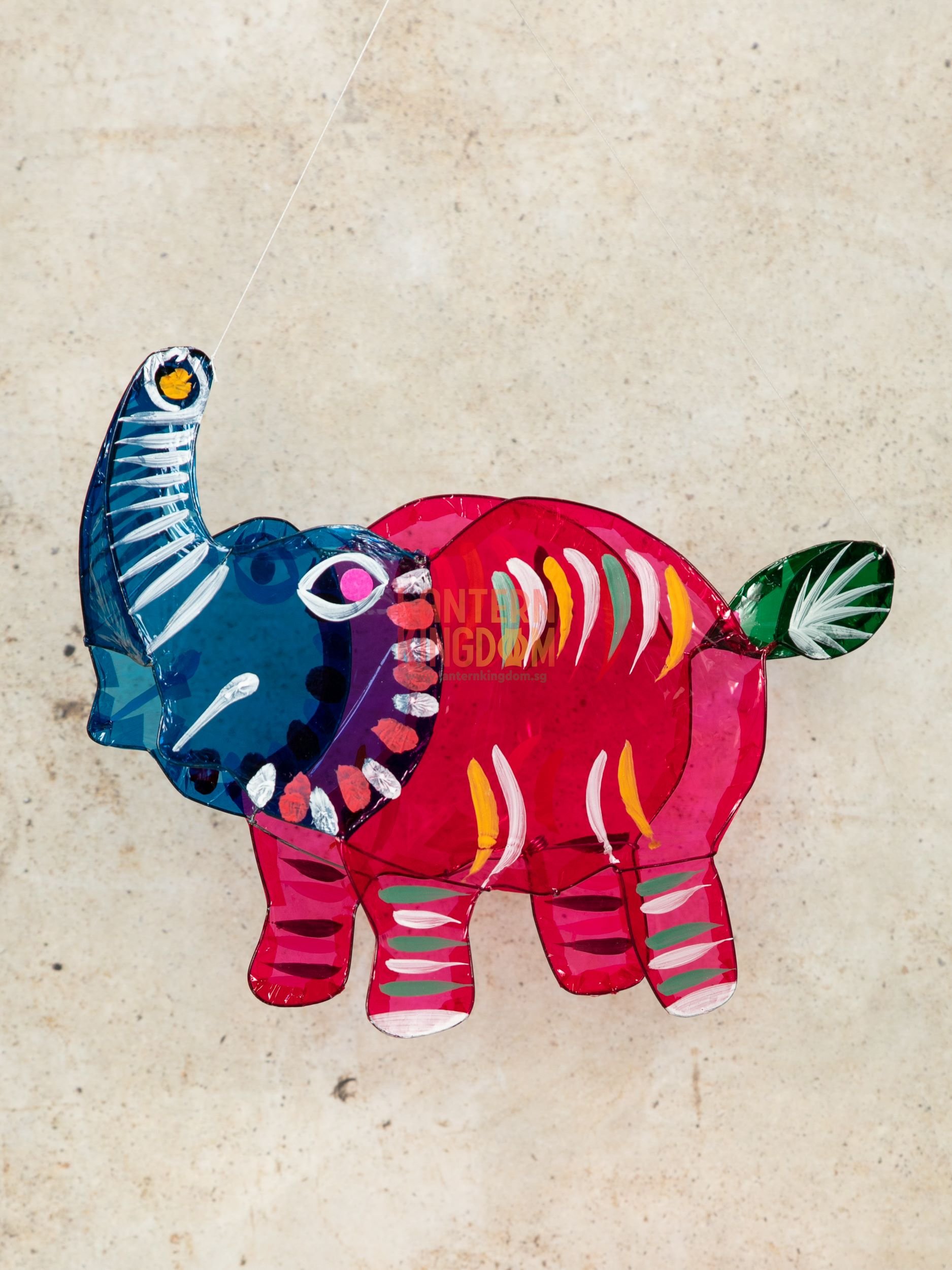 CL-035 Elephant_5D_3018.jpg
