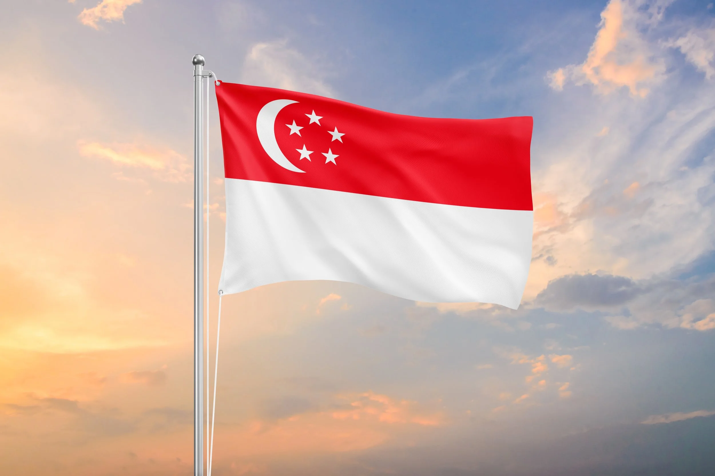 NDP Gift Pack | Singapore Flag for NDP Hanging and Raising | Lantern ...