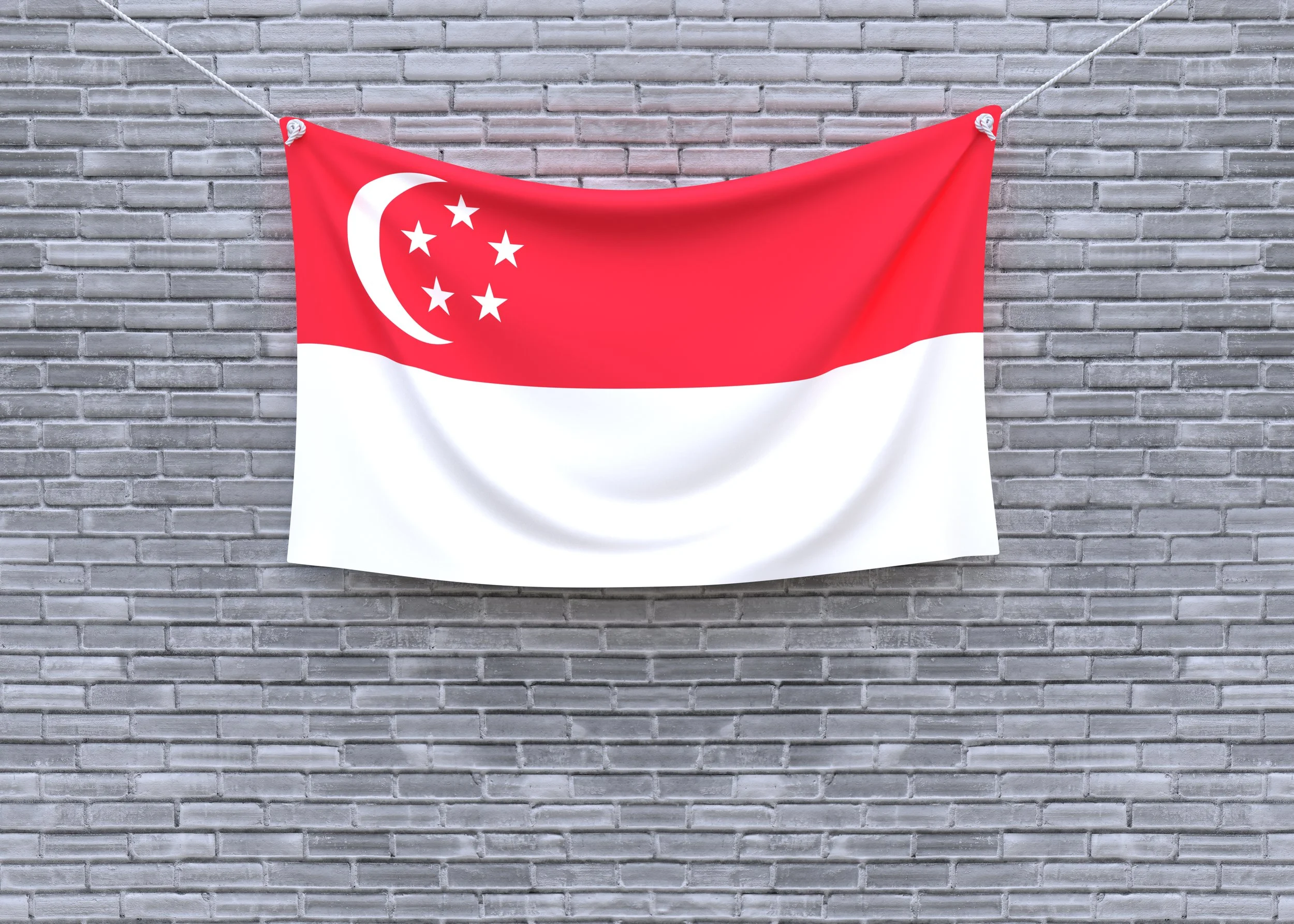 NDP Gift Pack | Singapore Flag for NDP Hanging and Raising | Lantern ...