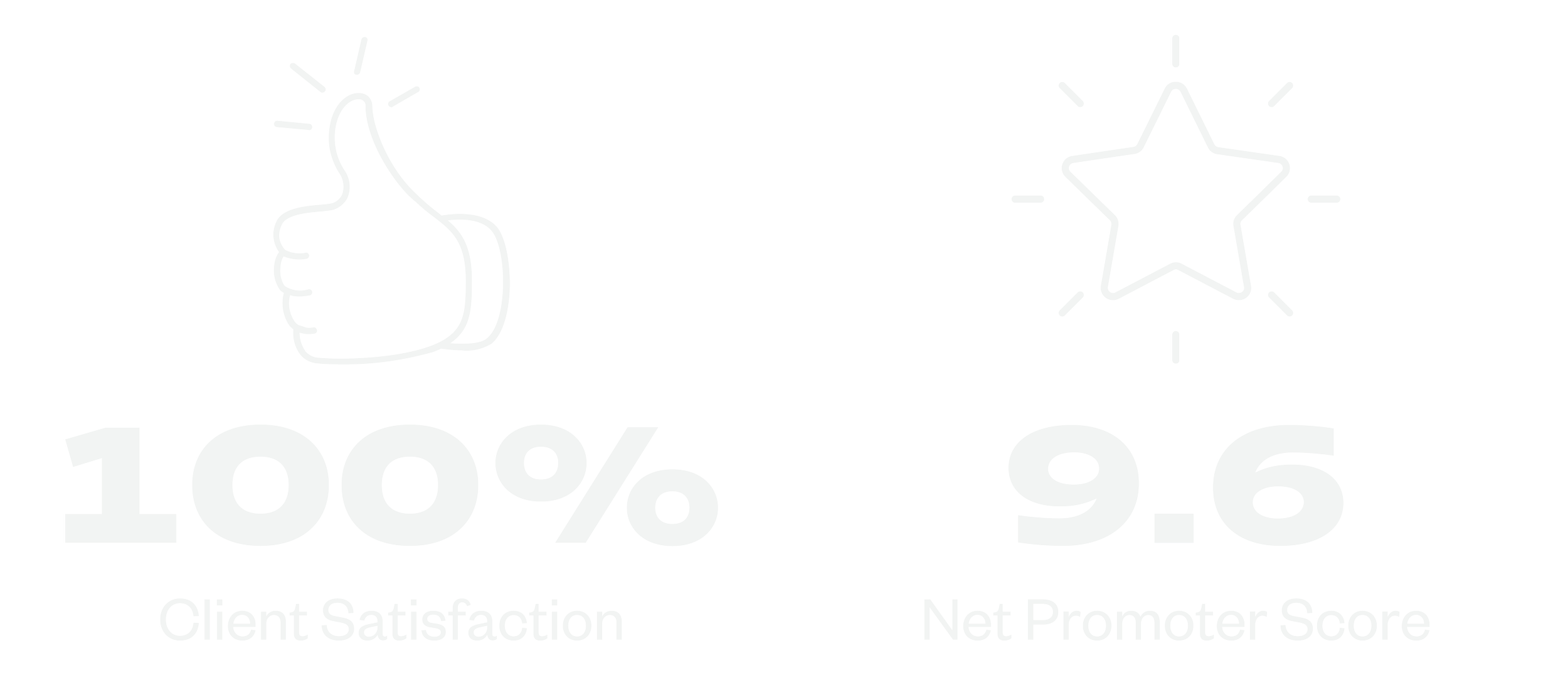 100% Client Satisfaction & 9.6 Net Promoter Score