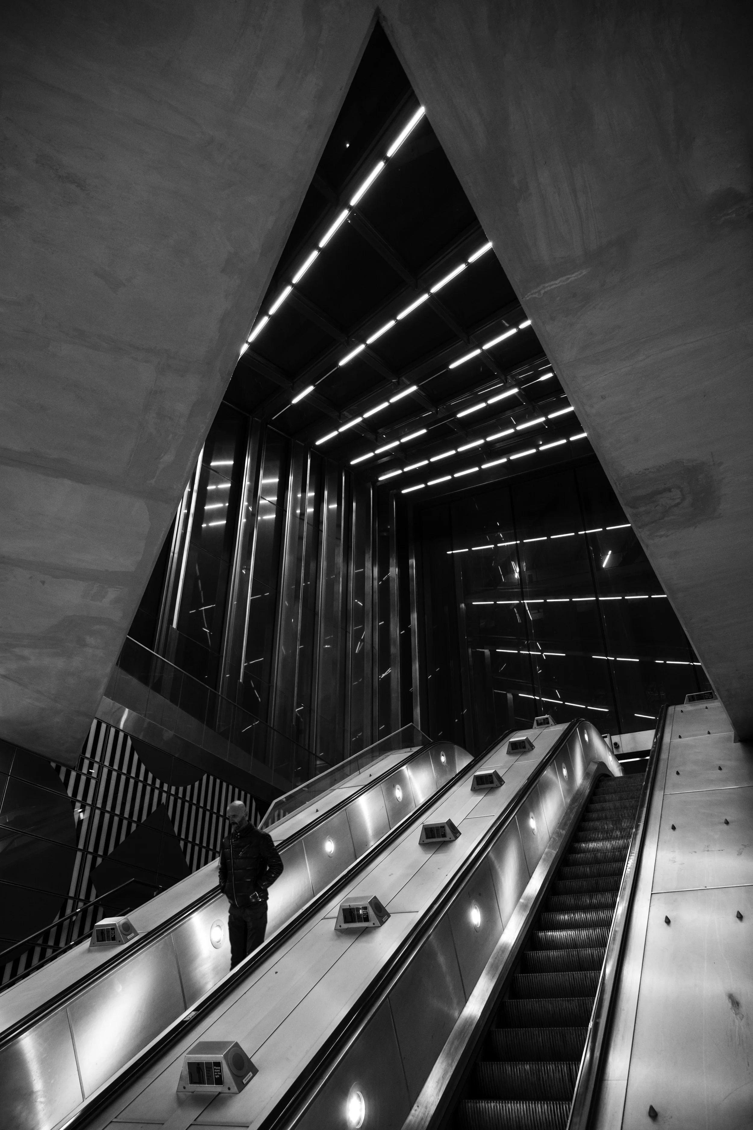 TCR Elevators.jpg