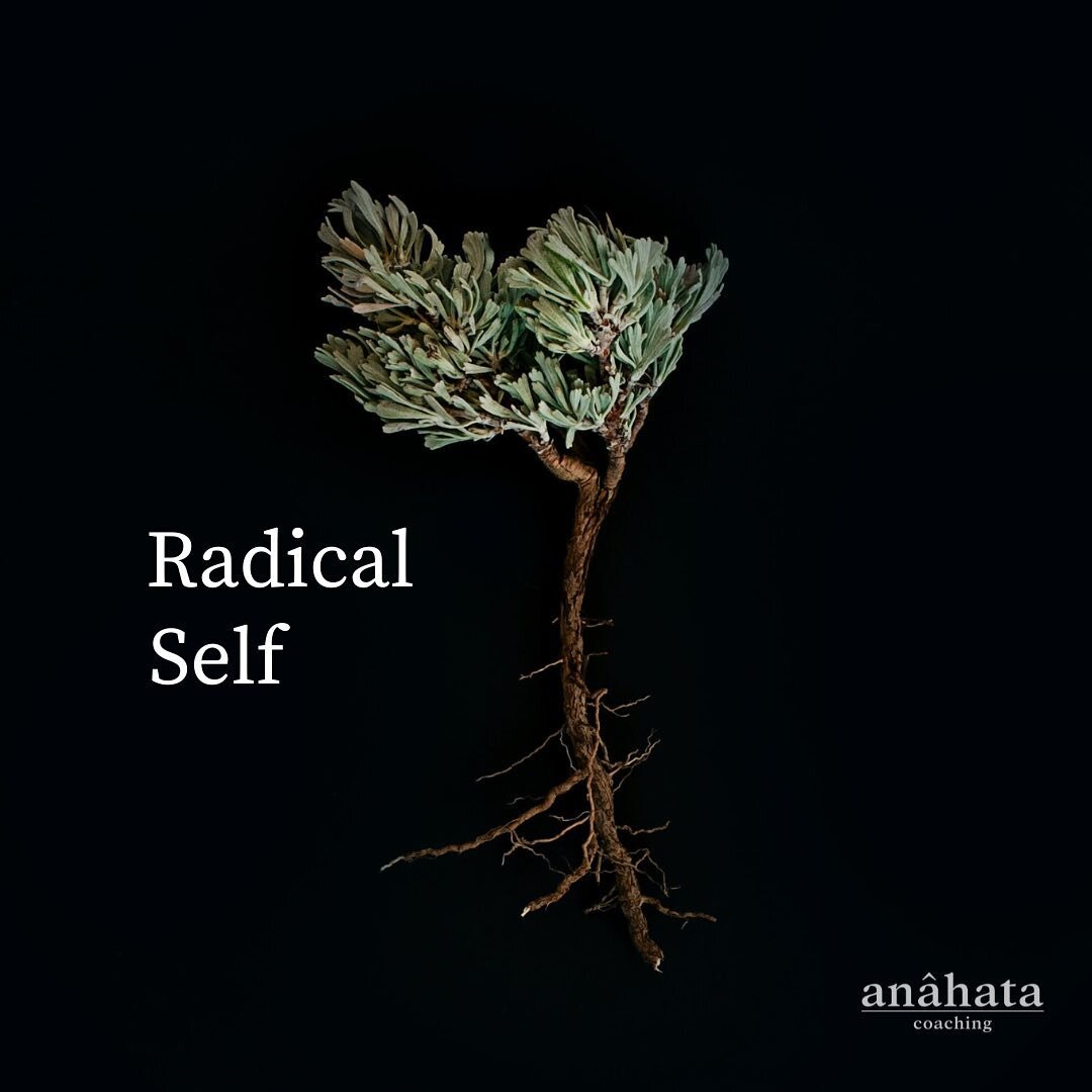 Radical Self is a rich holistic 5 month programme to explore your deepest self, connect to your wildest dreams and take meaningful action.
 
This programme has been literally years in the making. It weaves together many incredible practices, tools, f