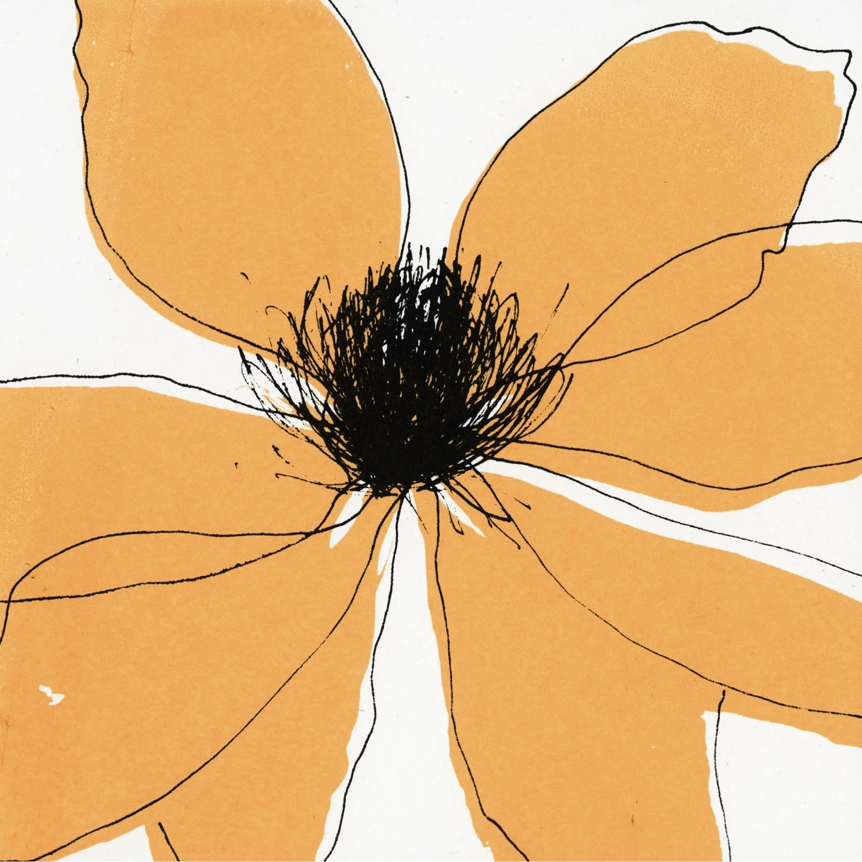 Clematis_Orange_ColourAdj_Crop.jpg