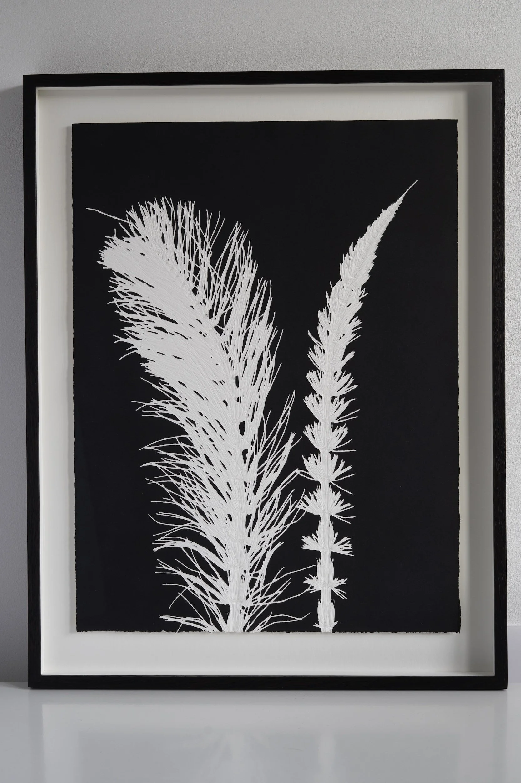 _DSC6566-Edit-2 copy.jpg