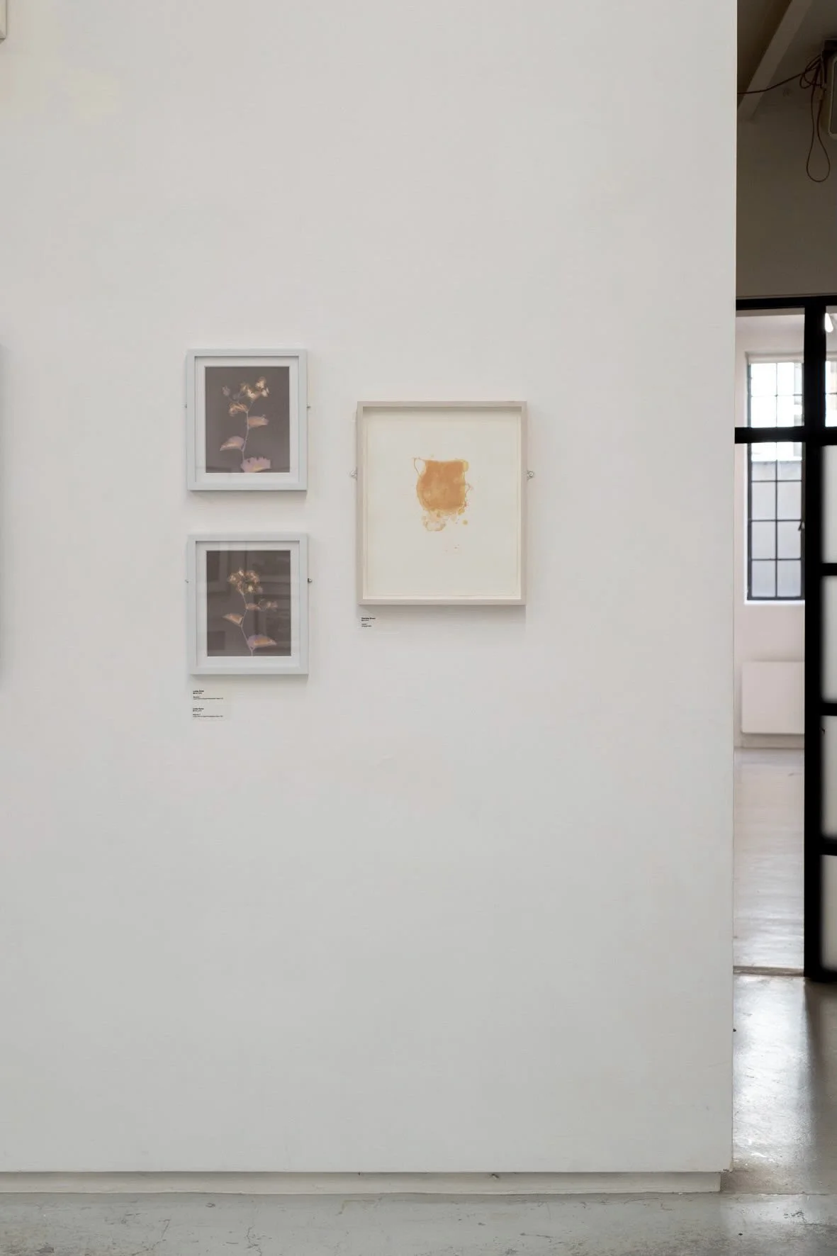 Bainbridge Open Exhibition 2025