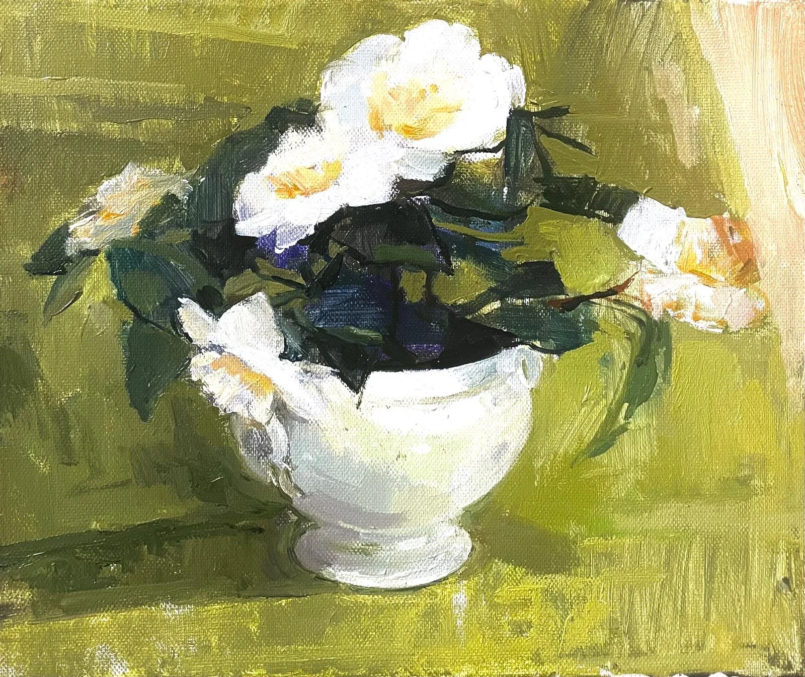 Camelia. 30 x 30 cm, oil on canvas.