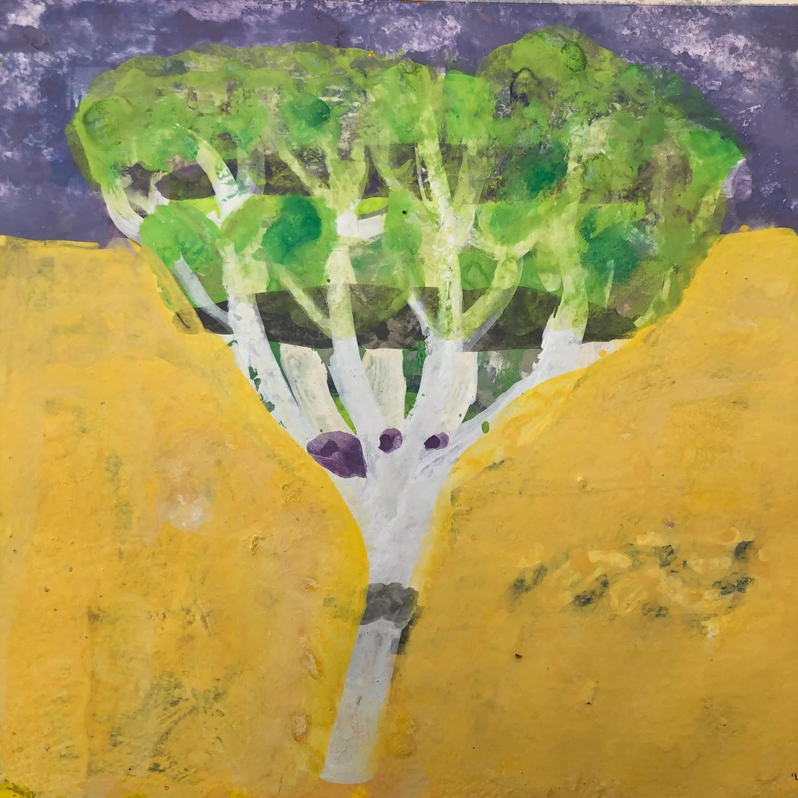 Silver Birch in Spring, Frome Valley. Gouache on paper, 28 x 30 cm, £950