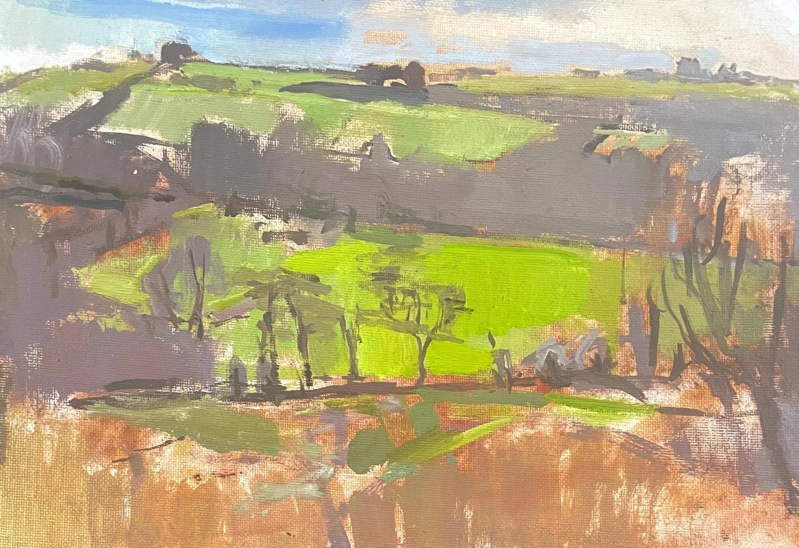 Kingcombe Meadows. 21 x 30 cm, oil on canvas board.