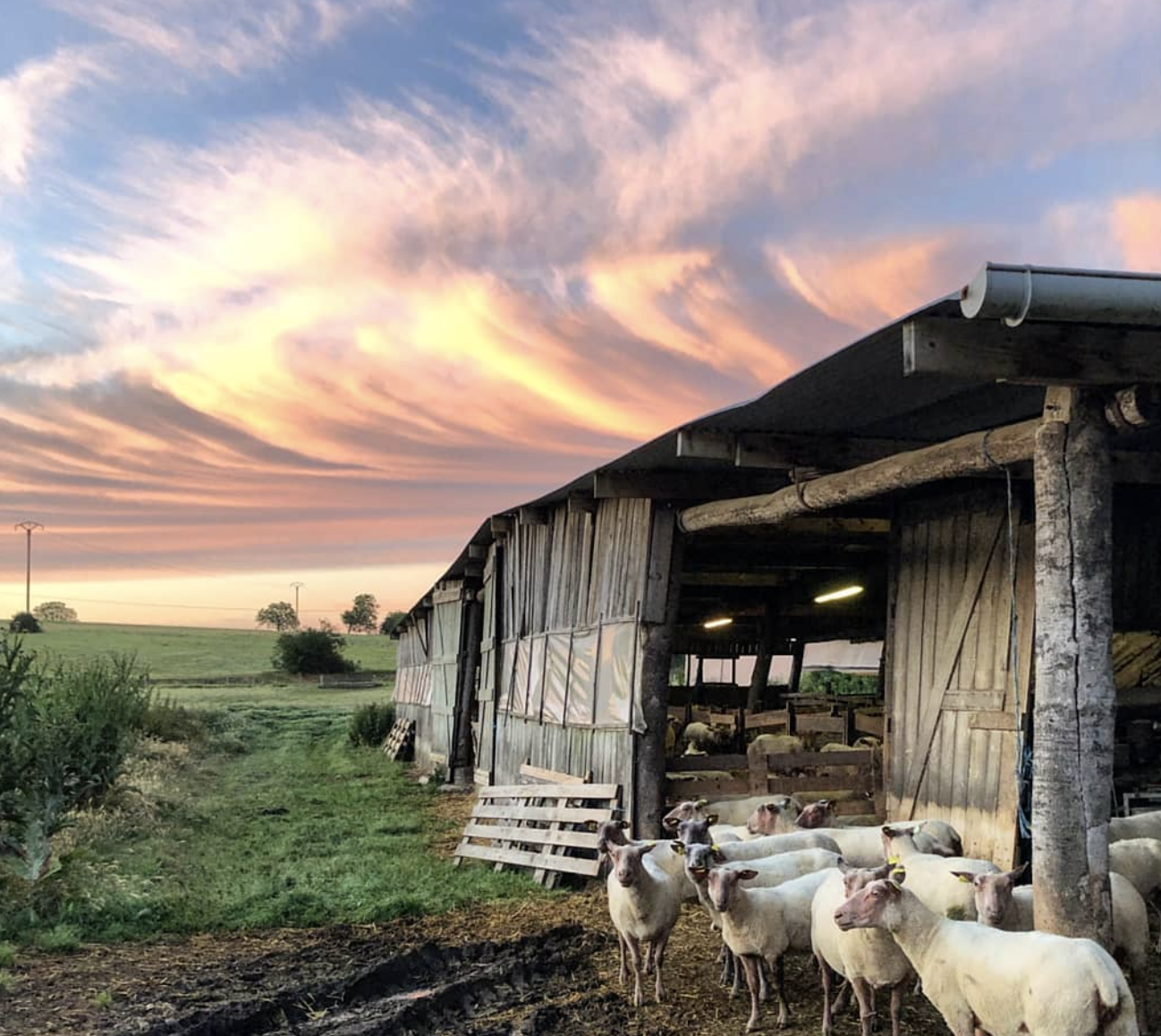 <span class="sqsrte-text-color--accent">Farm trip 30.09</span>