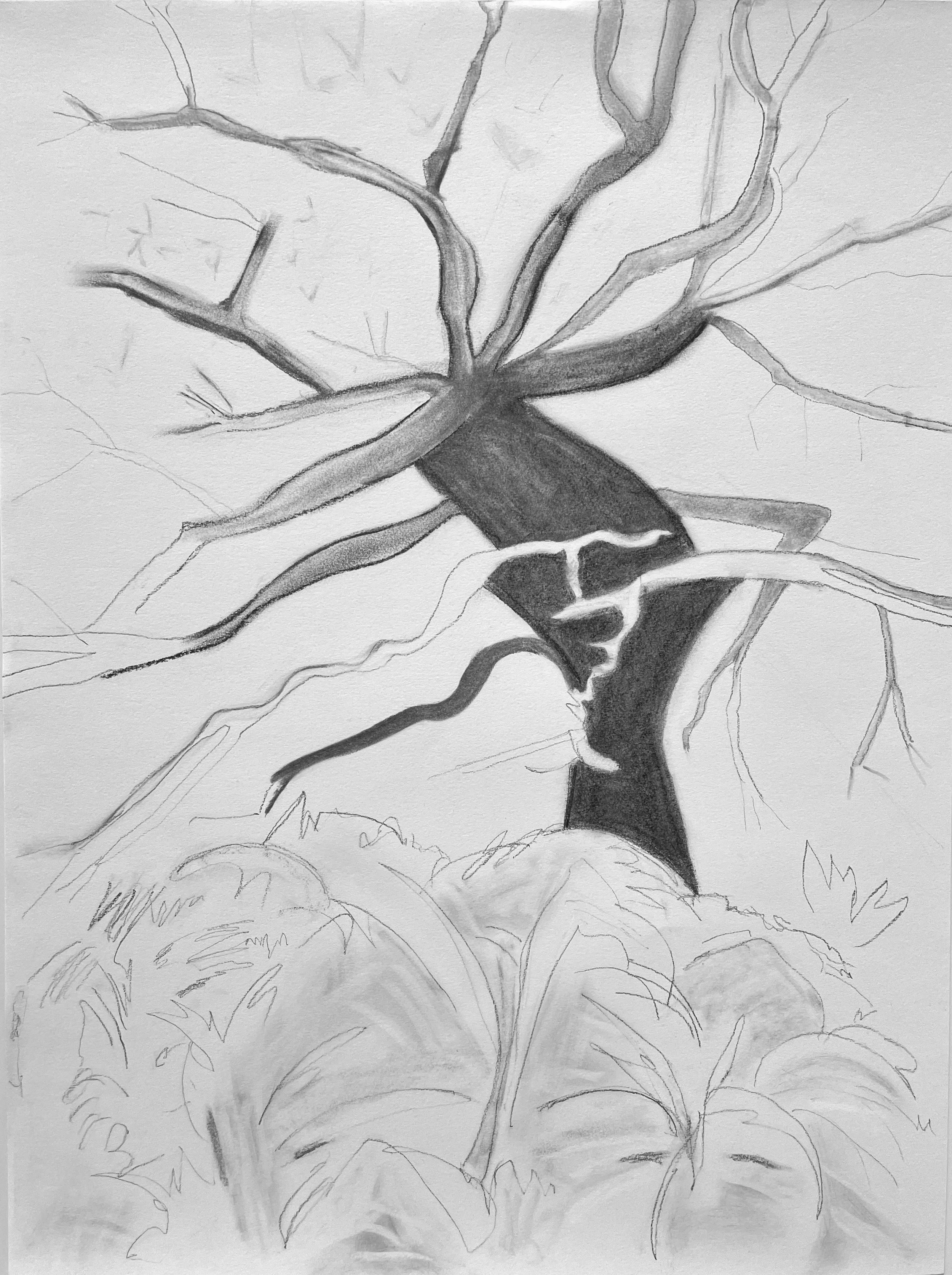 Help
 Charoal and pencil on paper 
18" x 24"
2025